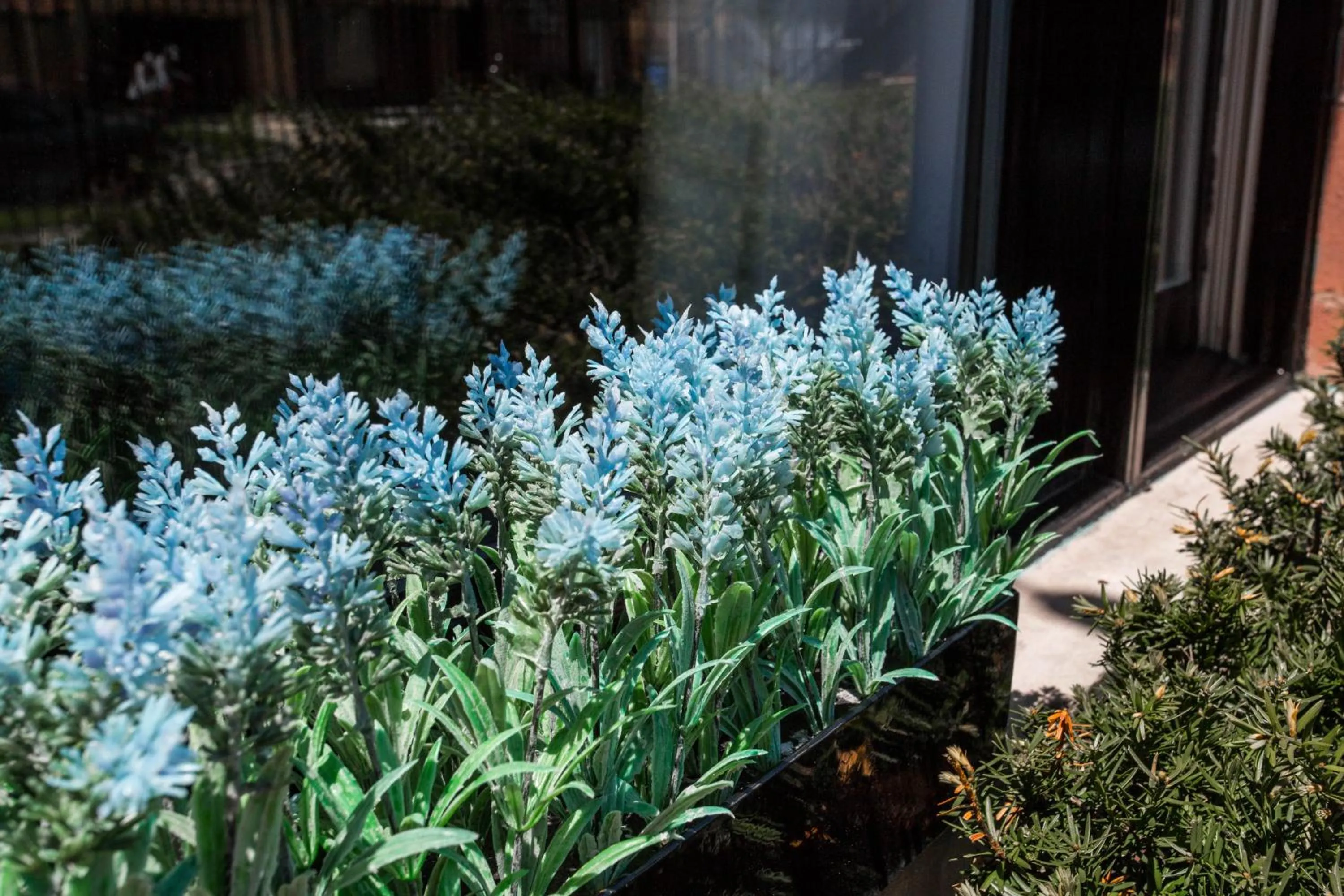 Bird's eye view in Villa Dubois Guest House