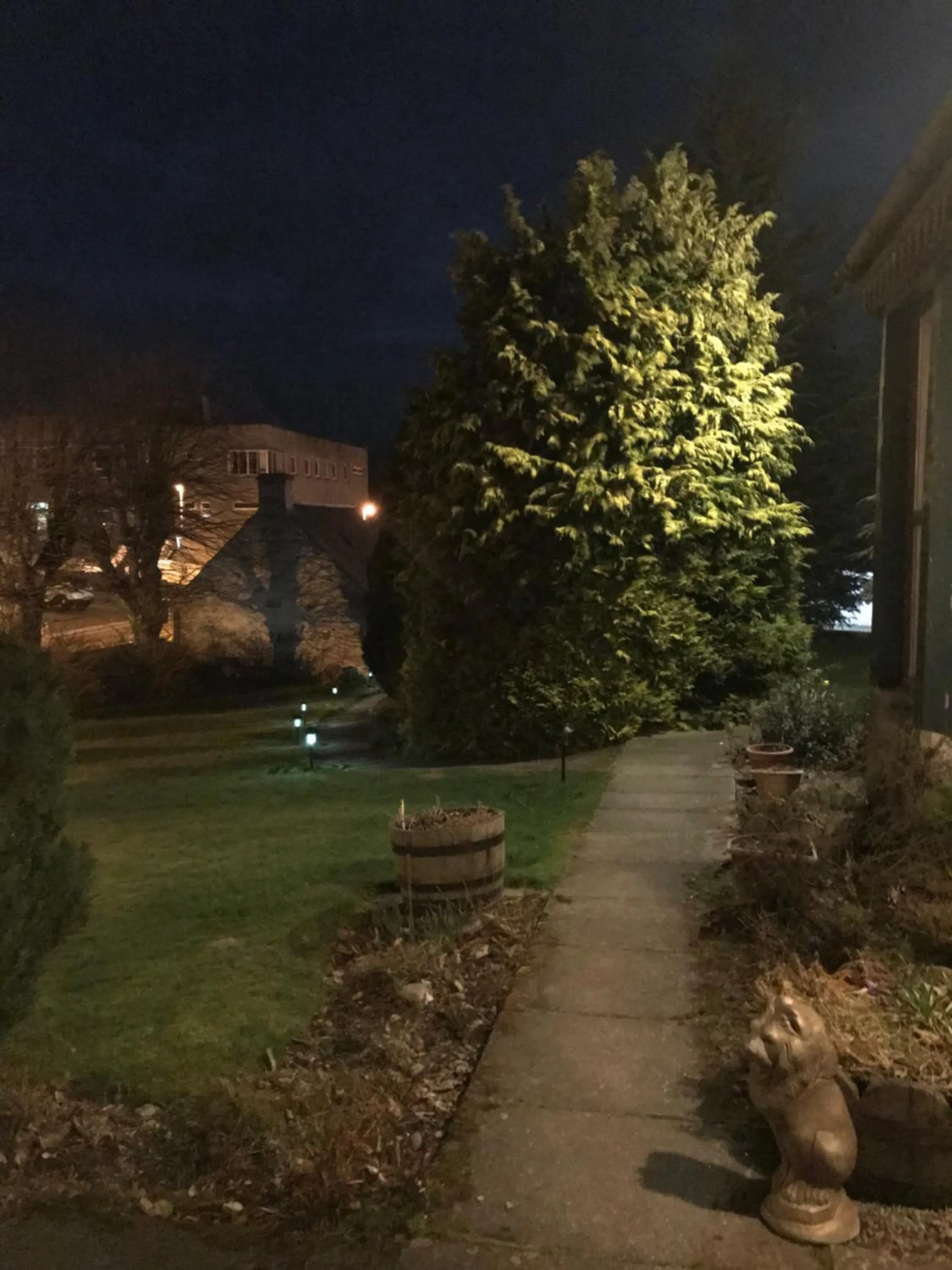 Garden in Garden Park Guest House