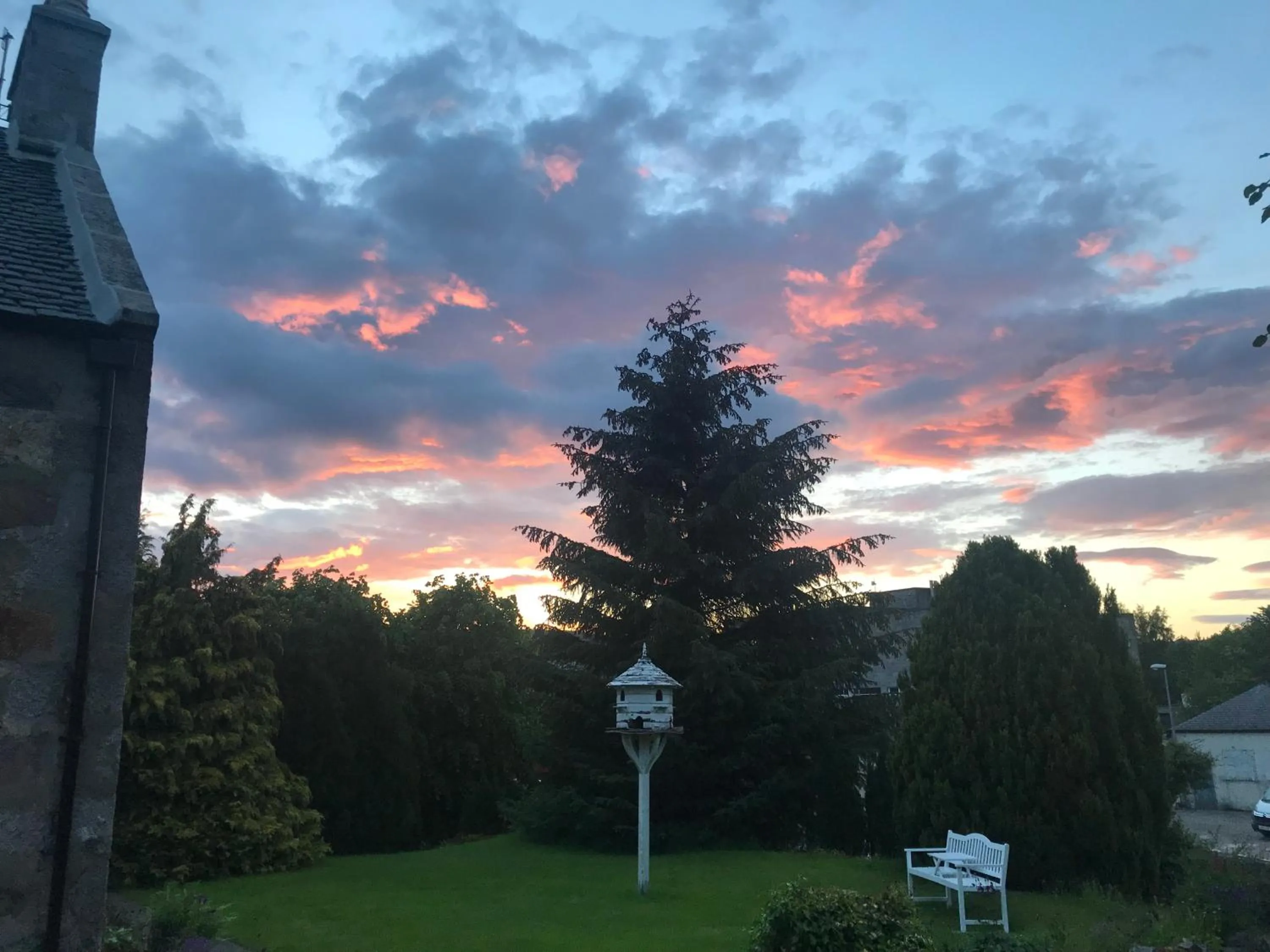 Garden in Garden Park Guest House