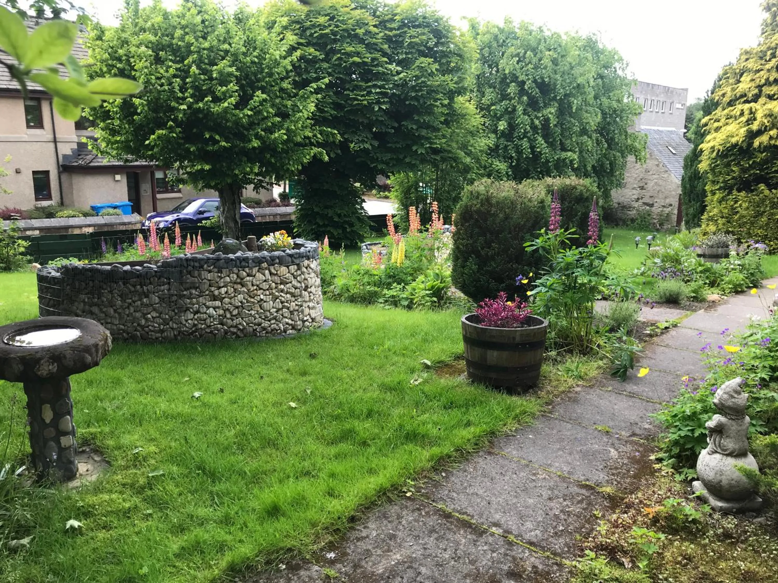 Day in Garden Park Guest House