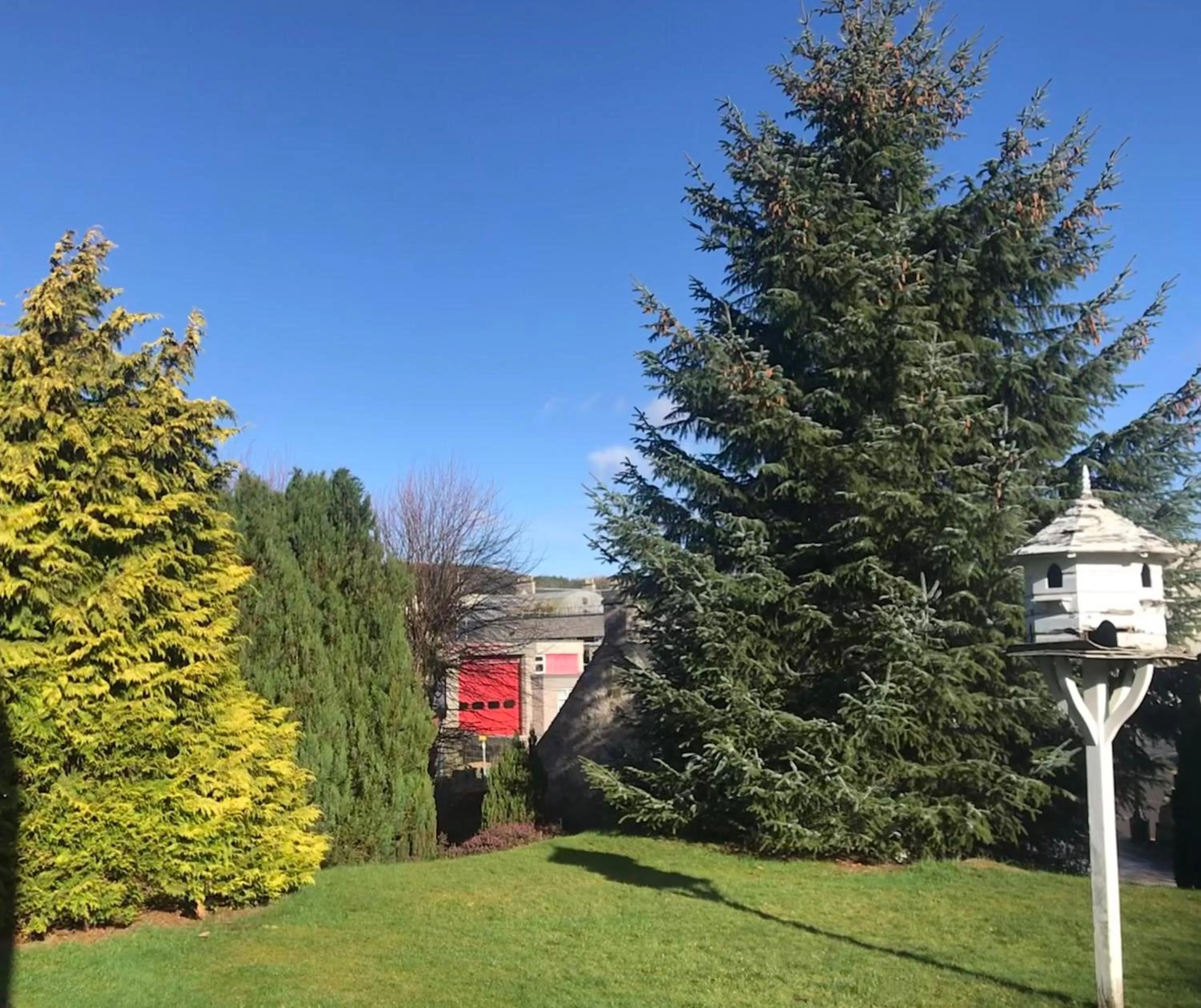 Garden in Garden Park Guest House