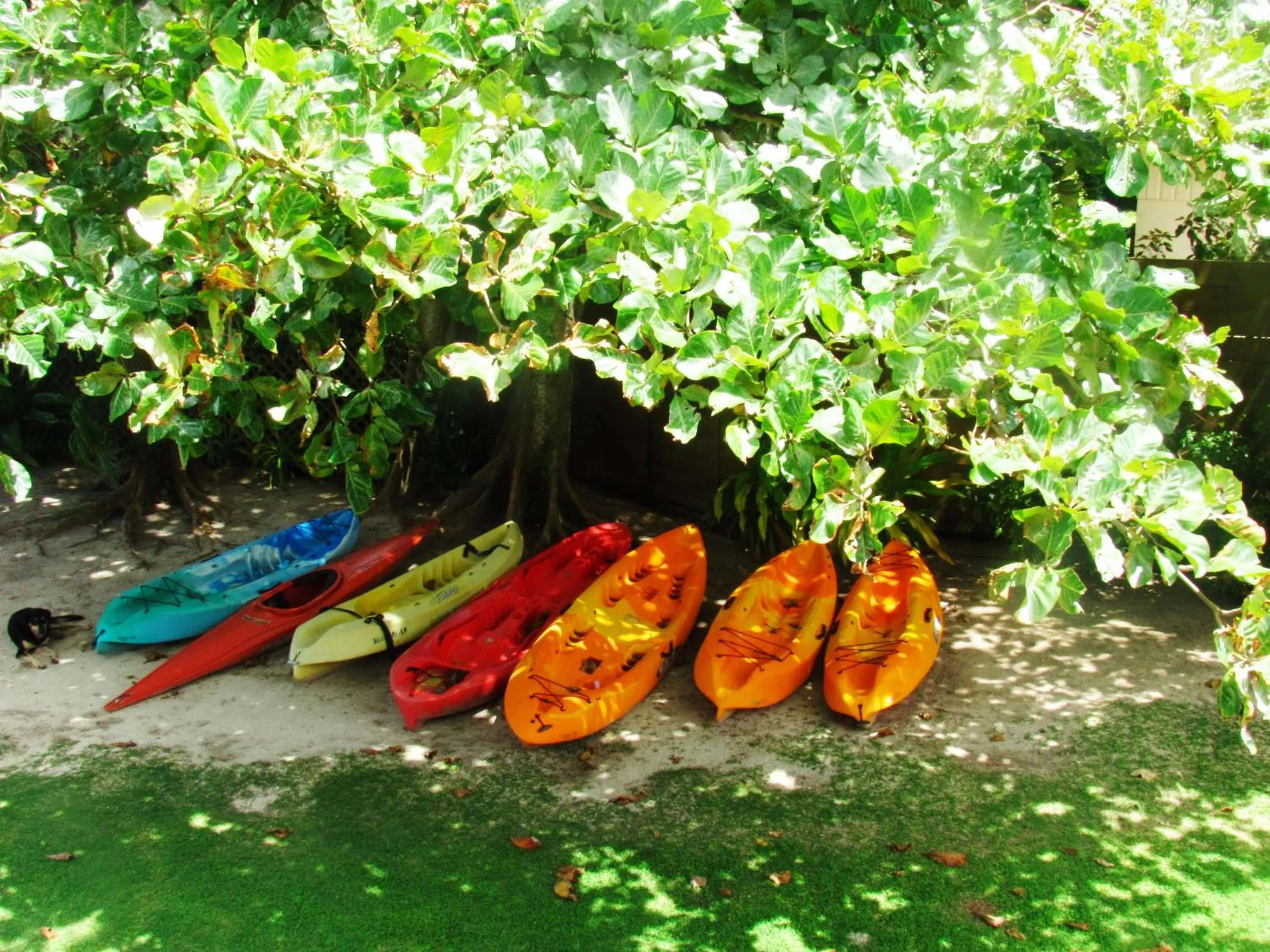 Fitness centre/facilities in Muri Beach Resort