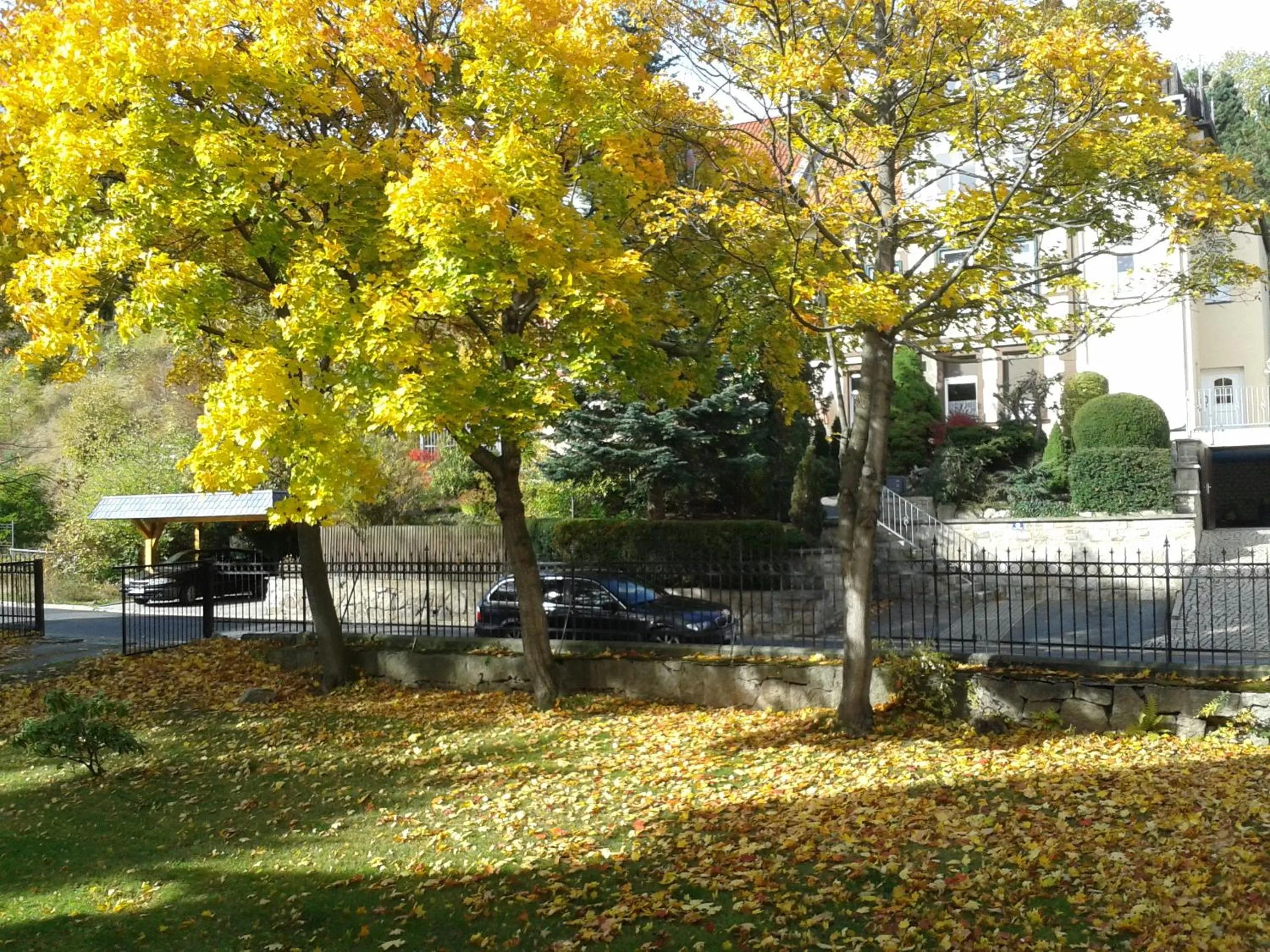 Garden in Pension Haus Marga