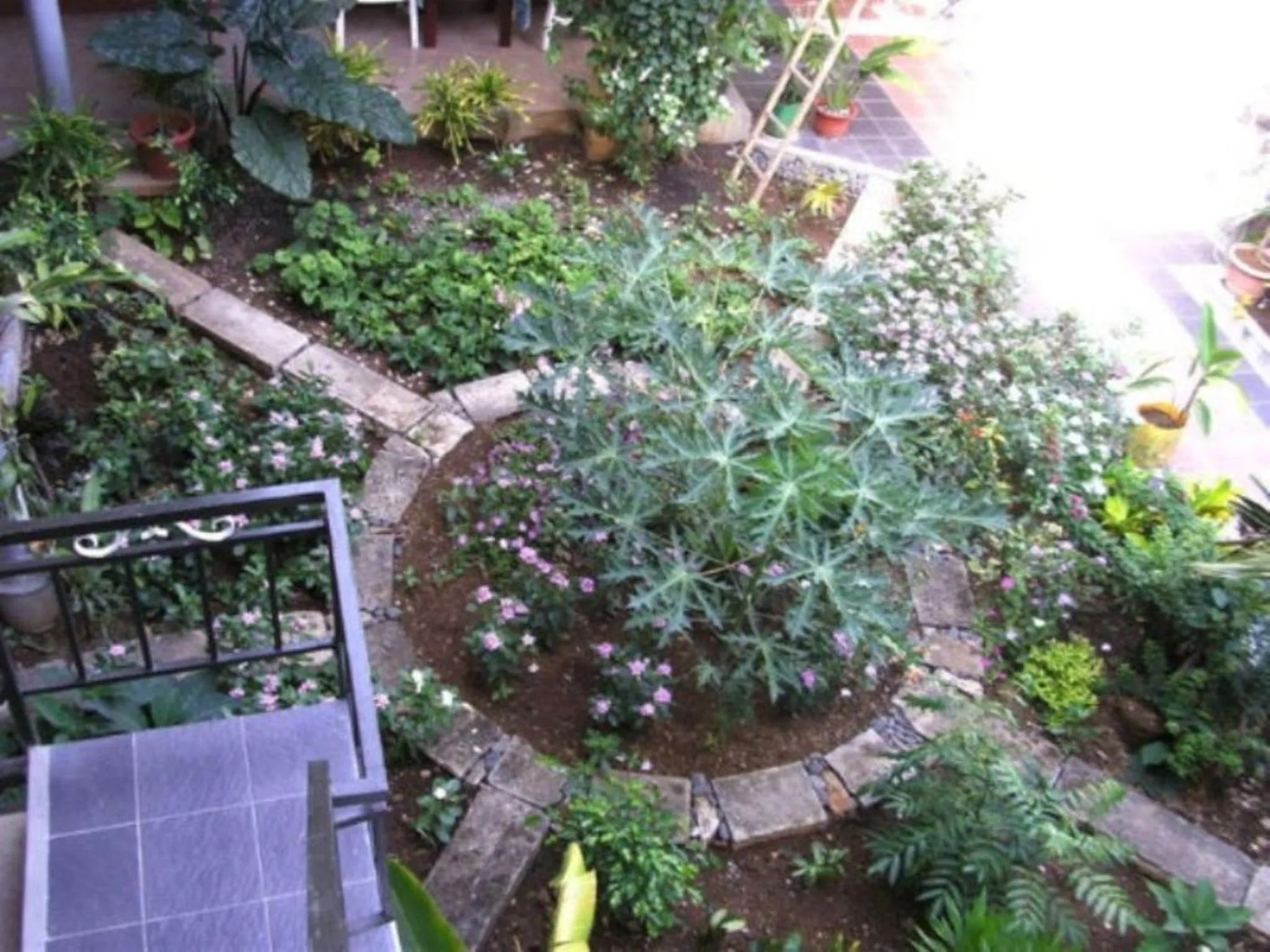 Garden in Auberge Le Saladier