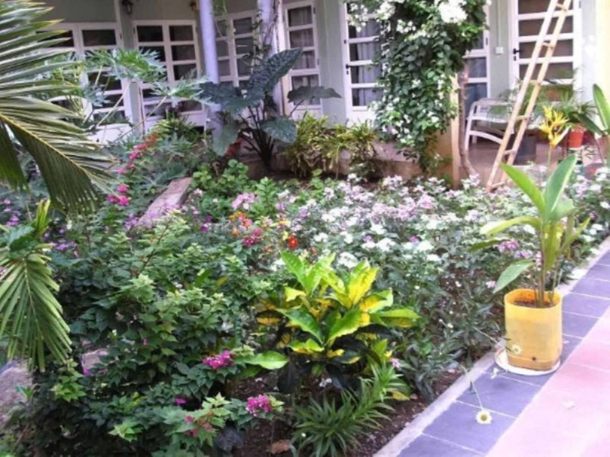 Garden in Auberge Le Saladier