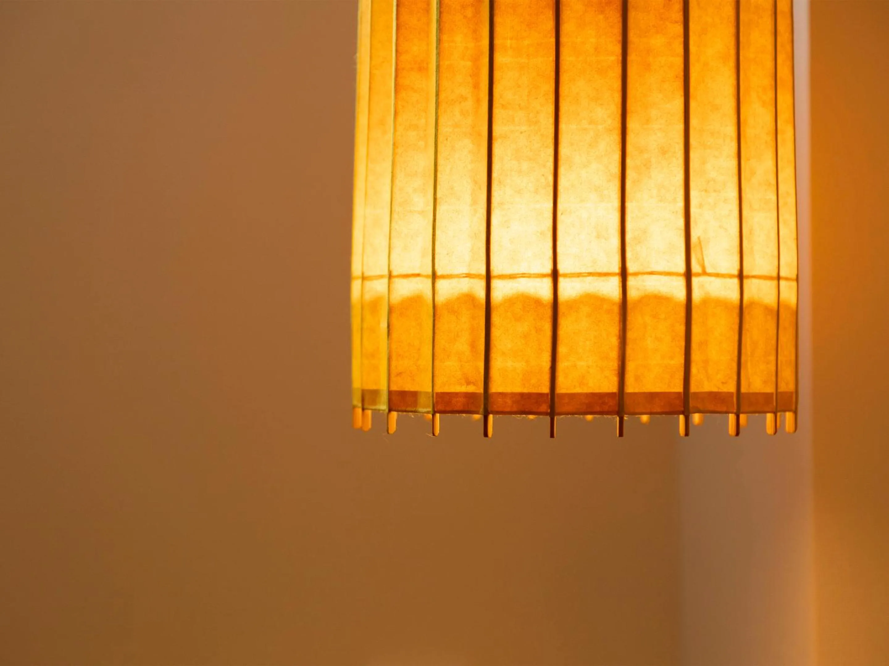 Area and facilities in Family Inn Kei 慶