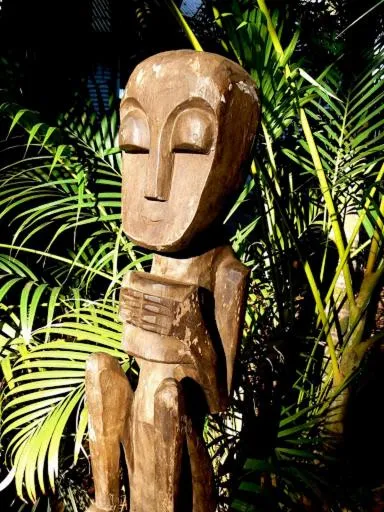 Garden in Pinctada McAlpine House