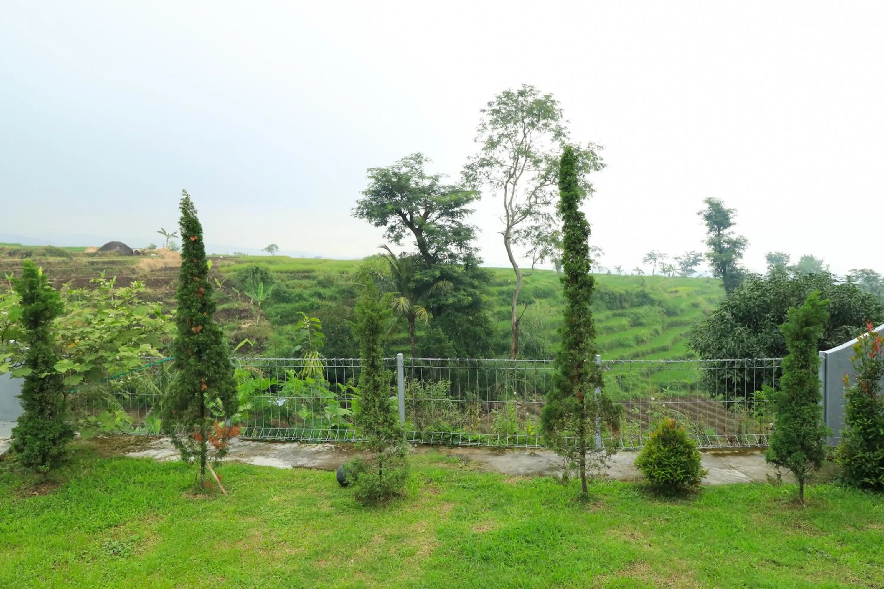 Natural landscape in Villa Kangen Omah