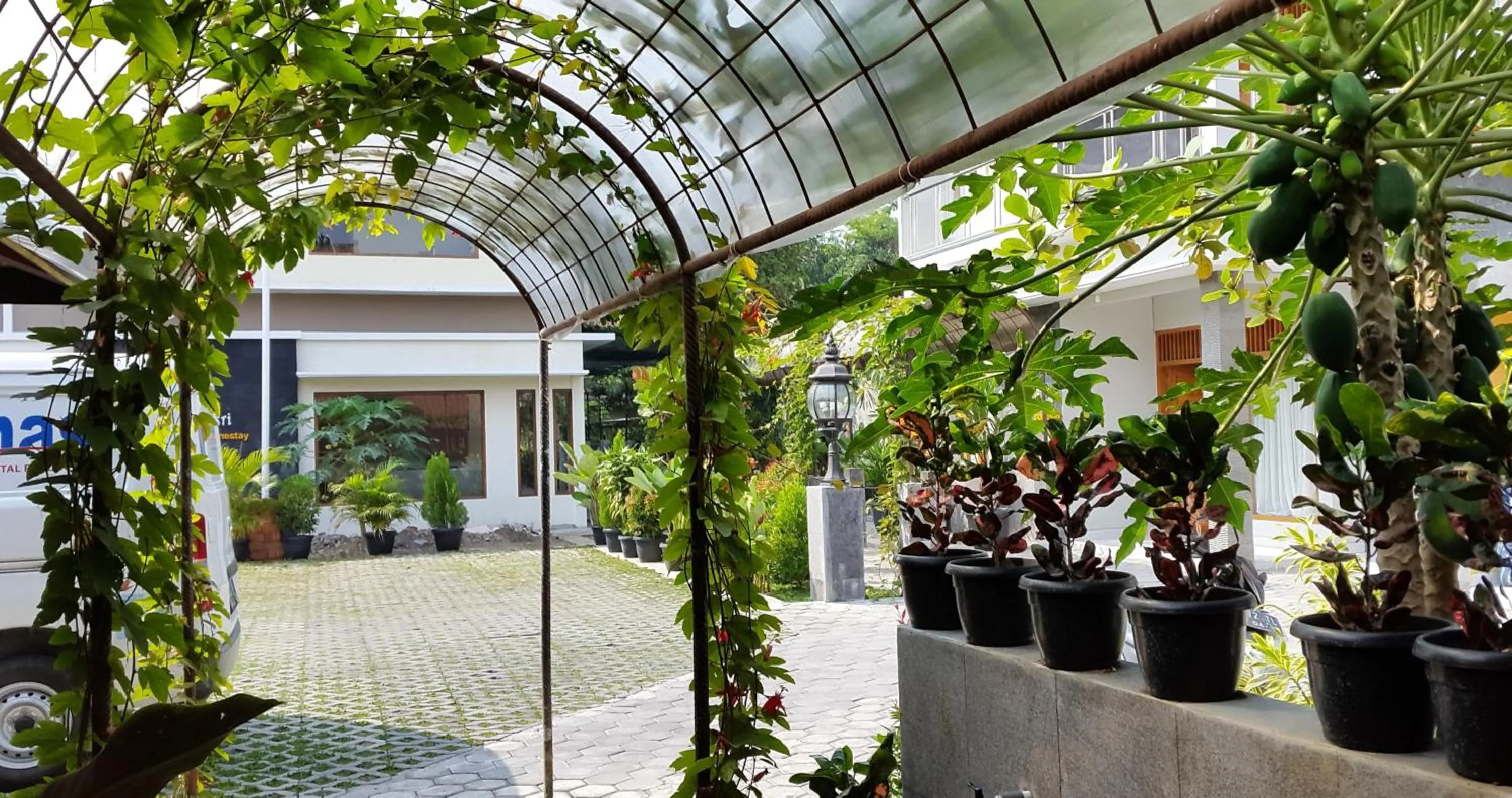 Garden in Embe Joglo Homestay