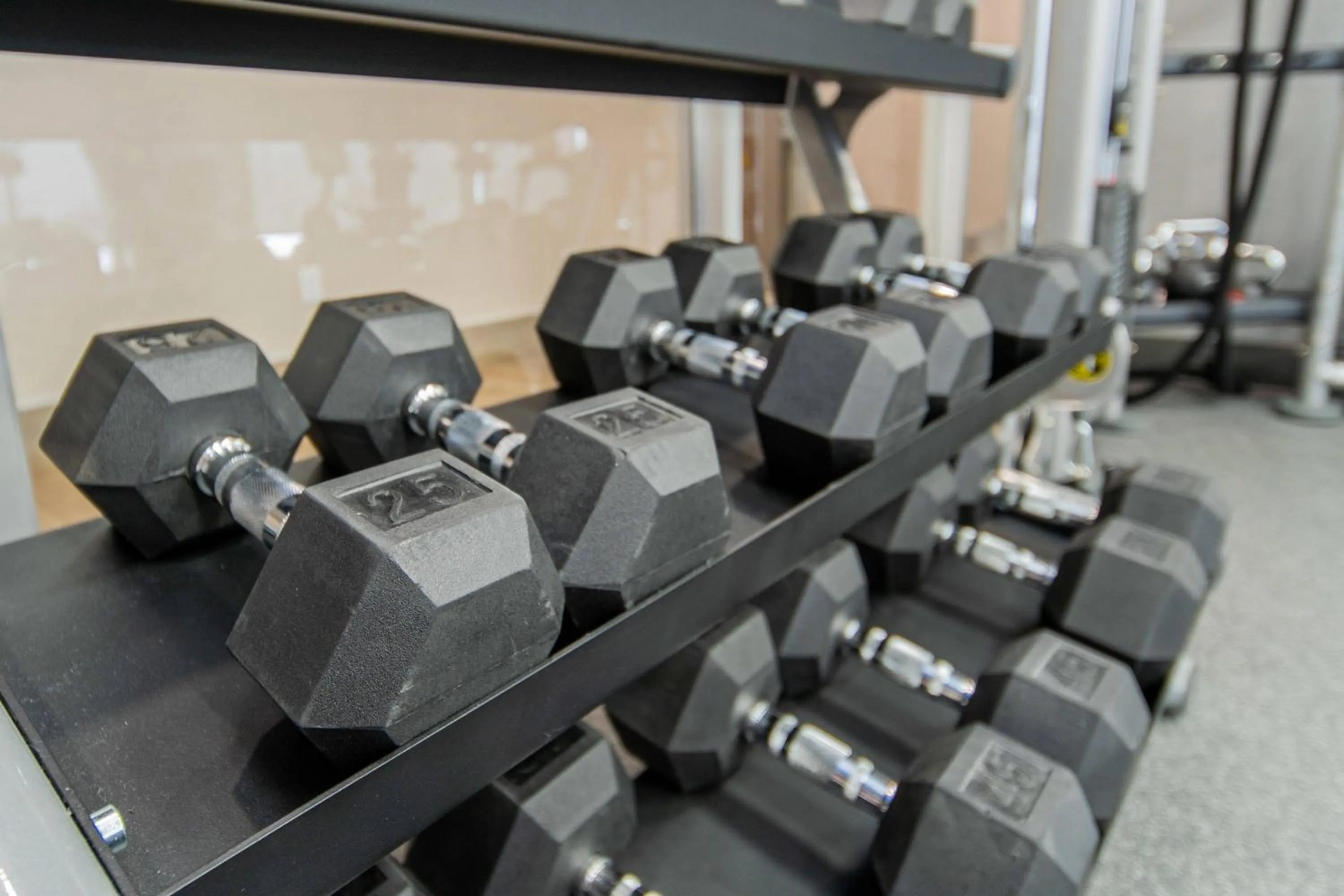 Fitness centre/facilities in TownePlace Suites by Marriott Brantford and Conference Centre