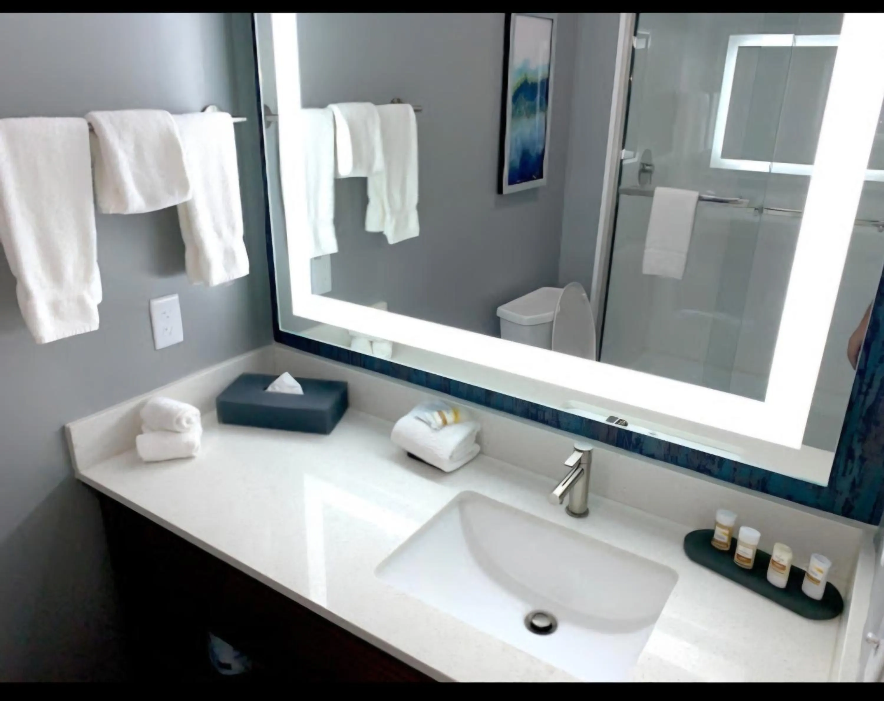 Bathroom in La Quinta Brunswick/Golden Isles