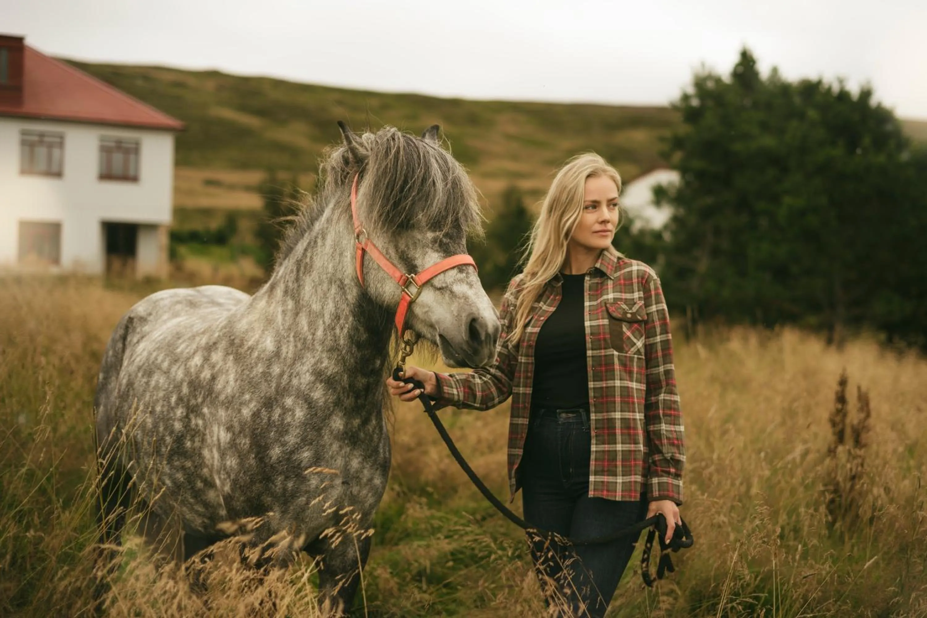 Day in Aurora Farm Hotel