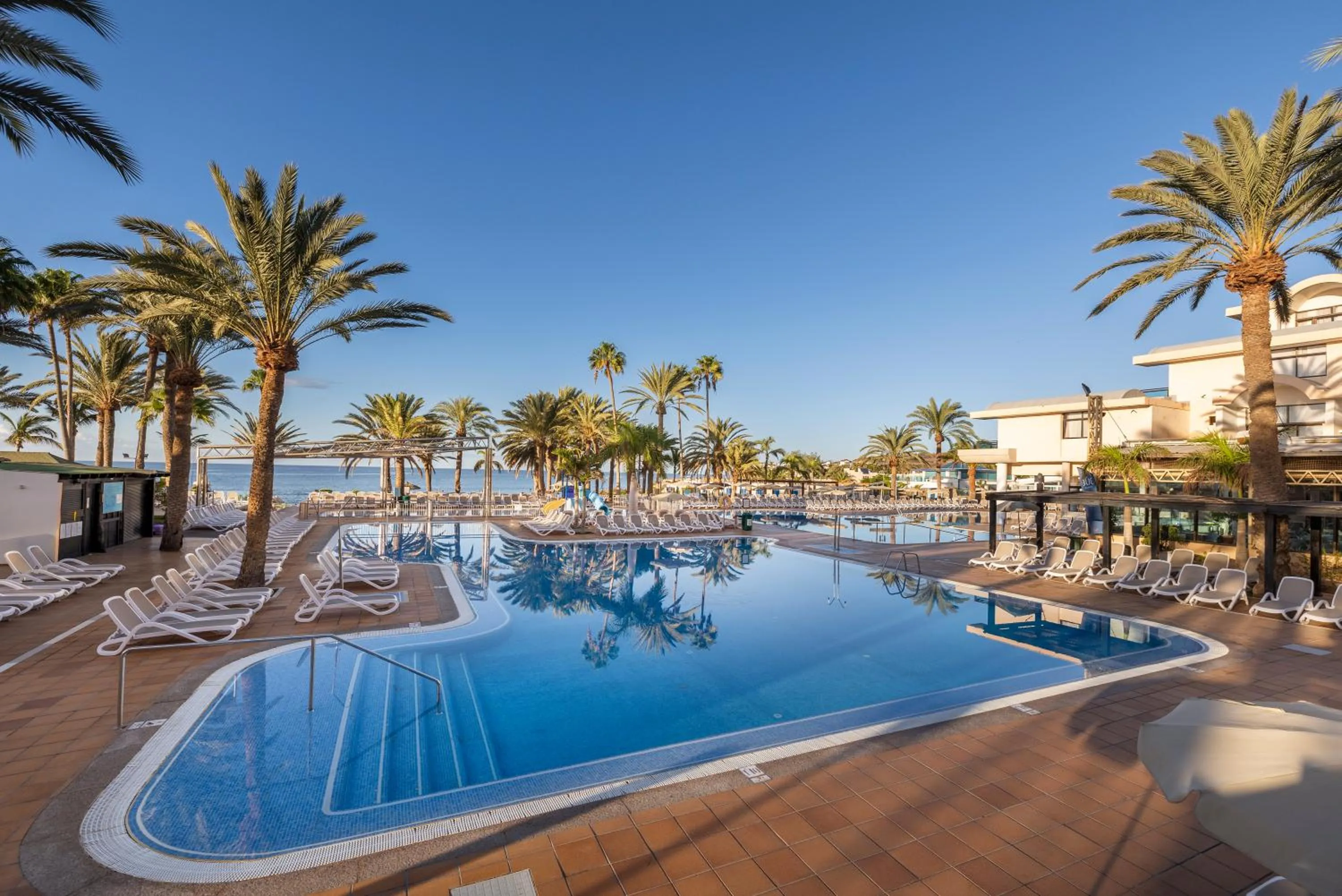Swimming pool in Grupotel Orquidea