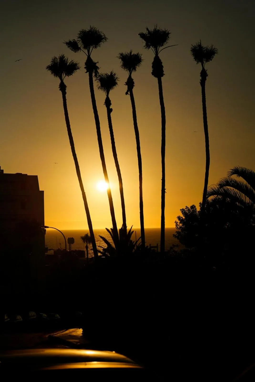 Natural landscape in Comodoro Estudio Vista Mar Explotaciones Ravel