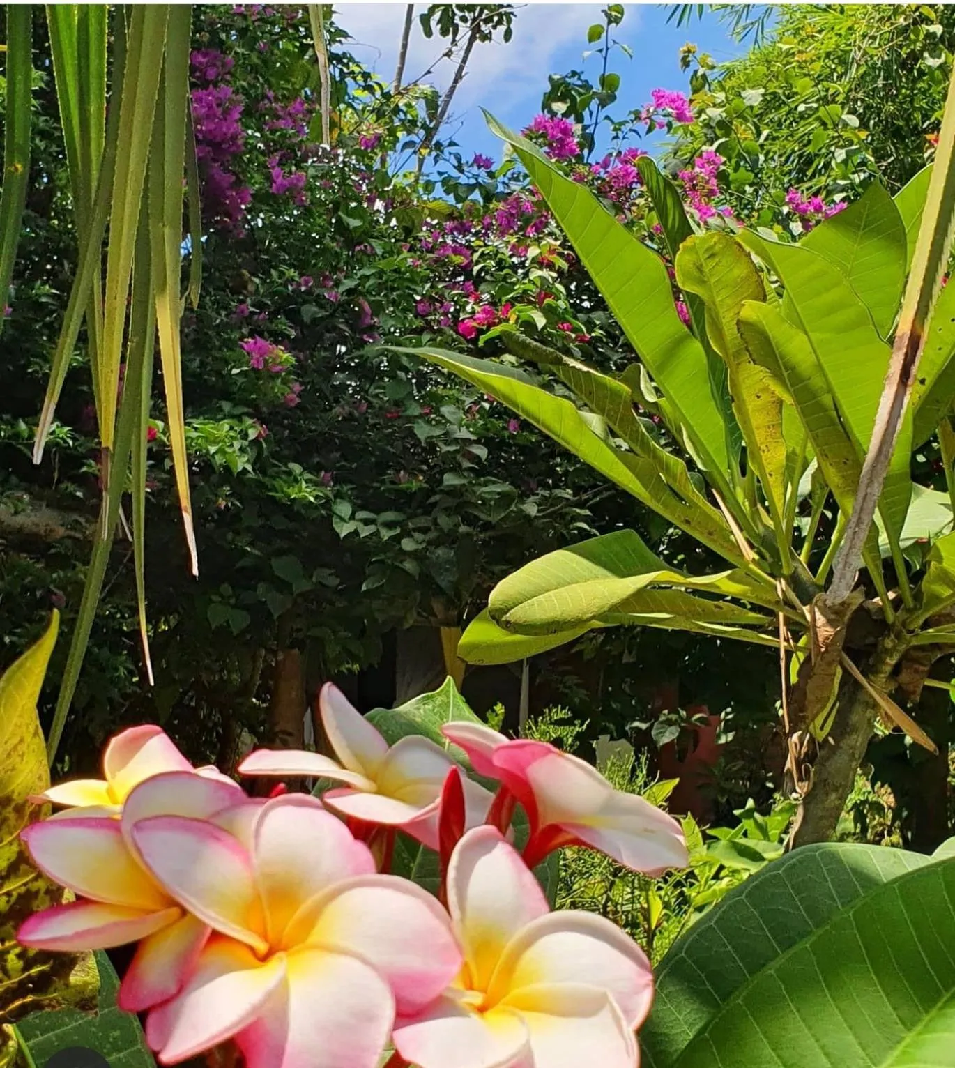 Garden in Hotel ECOLODGE LE RAVORAHA