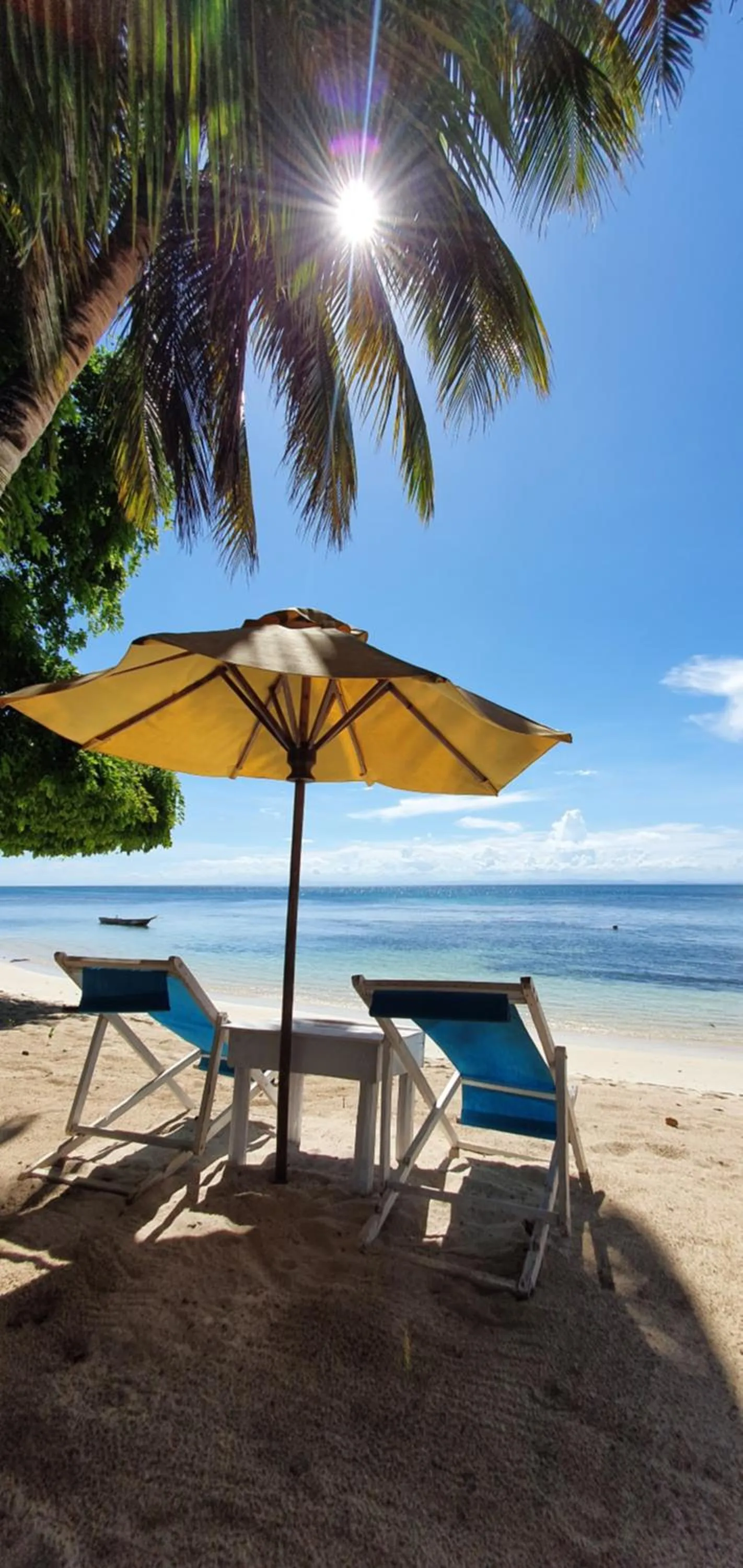 Patio in Hotel ECOLODGE LE RAVORAHA