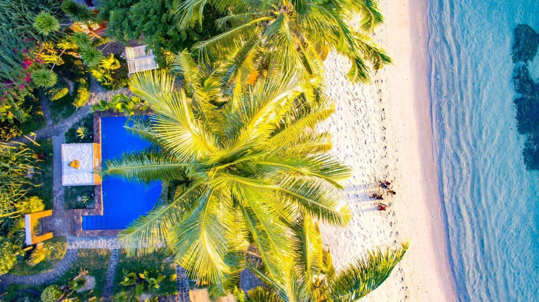 Swimming pool in Hotel ECOLODGE LE RAVORAHA