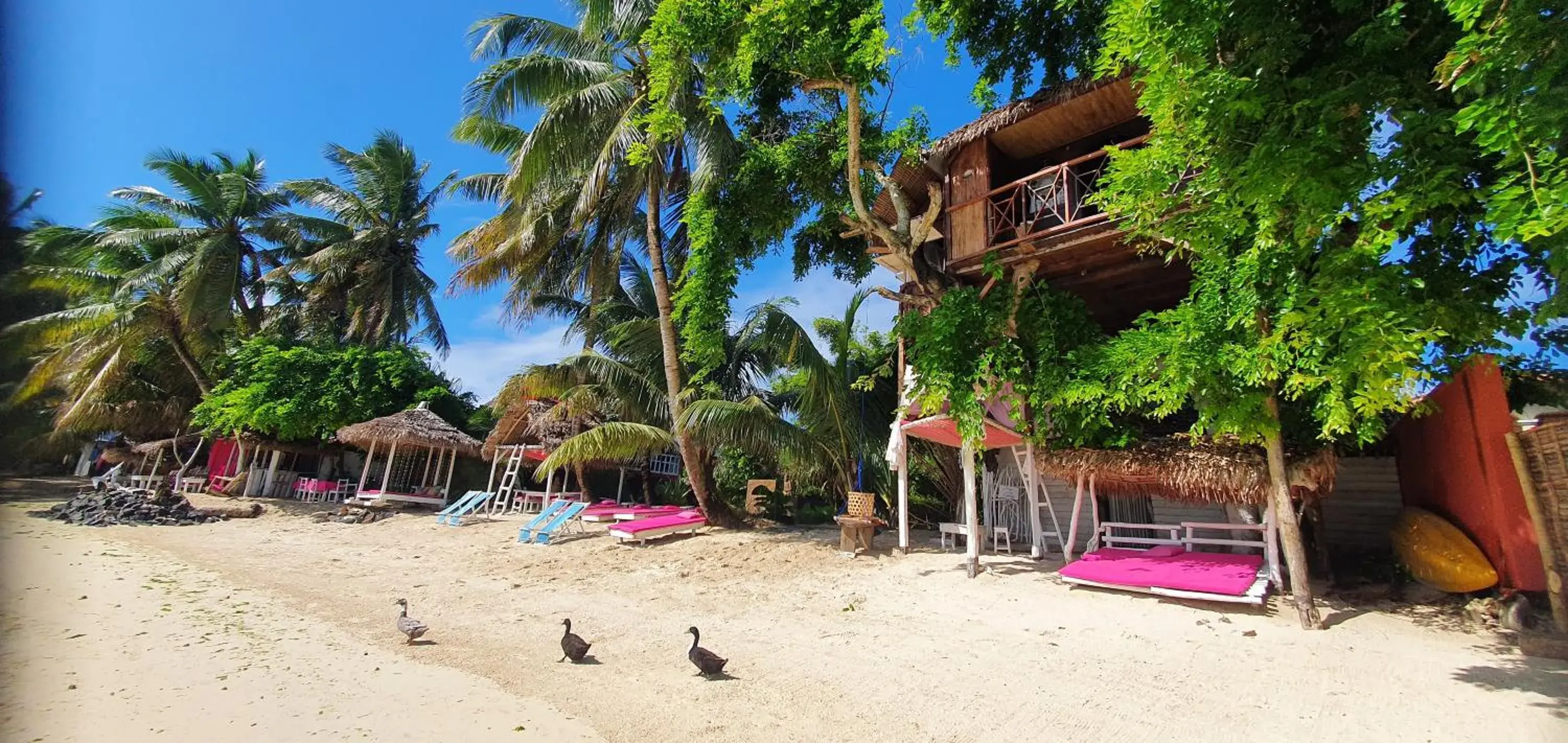 Treehouse with Sea View in Hotel ECOLODGE LE RAVORAHA Treehouse with Sea View in Hotel ECOLODGE LE RAVORAHA