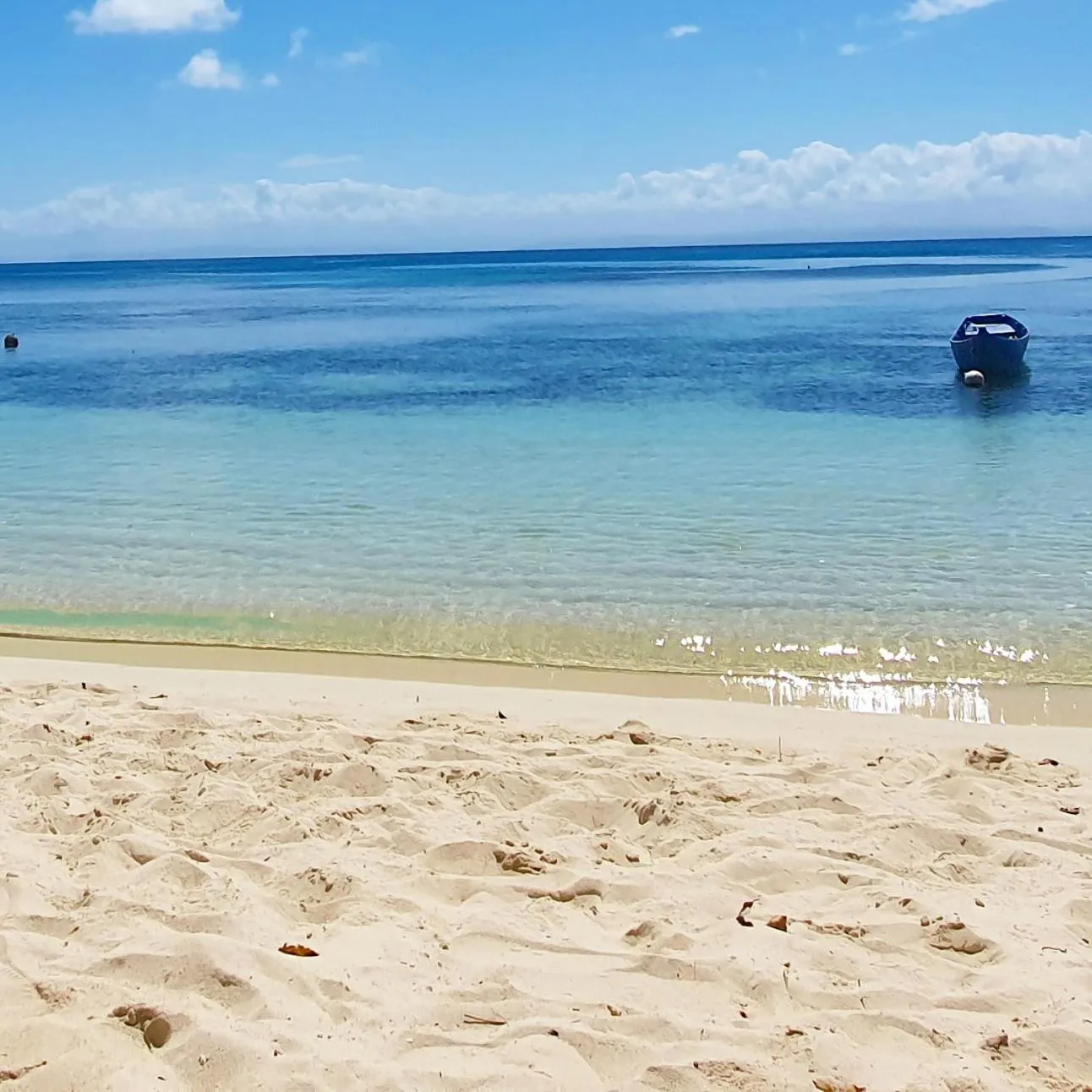Natural landscape in Hotel ECOLODGE LE RAVORAHA