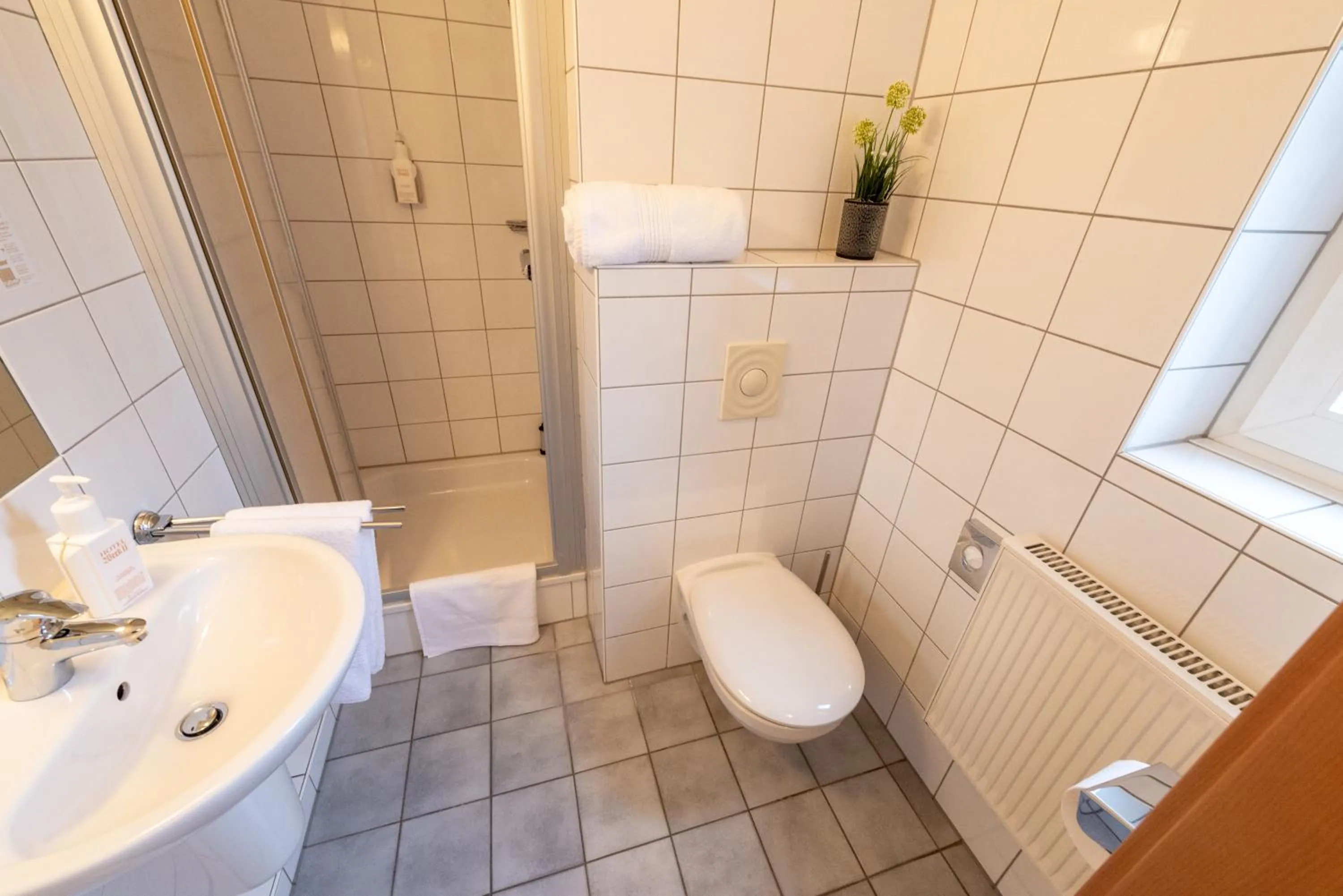 Single Room with Shower in Hotel Werk II