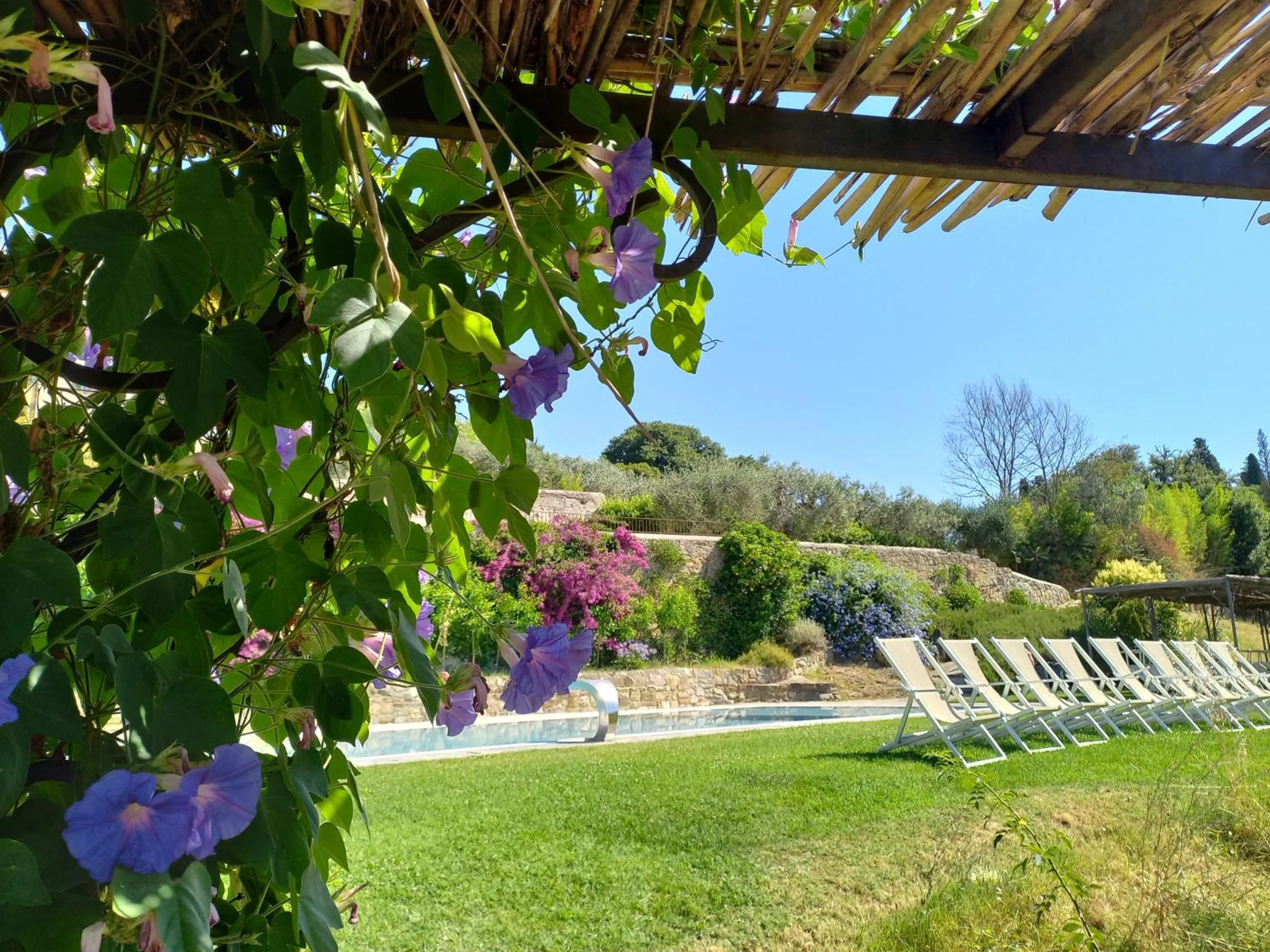Garden view in Fattoria di Maiano