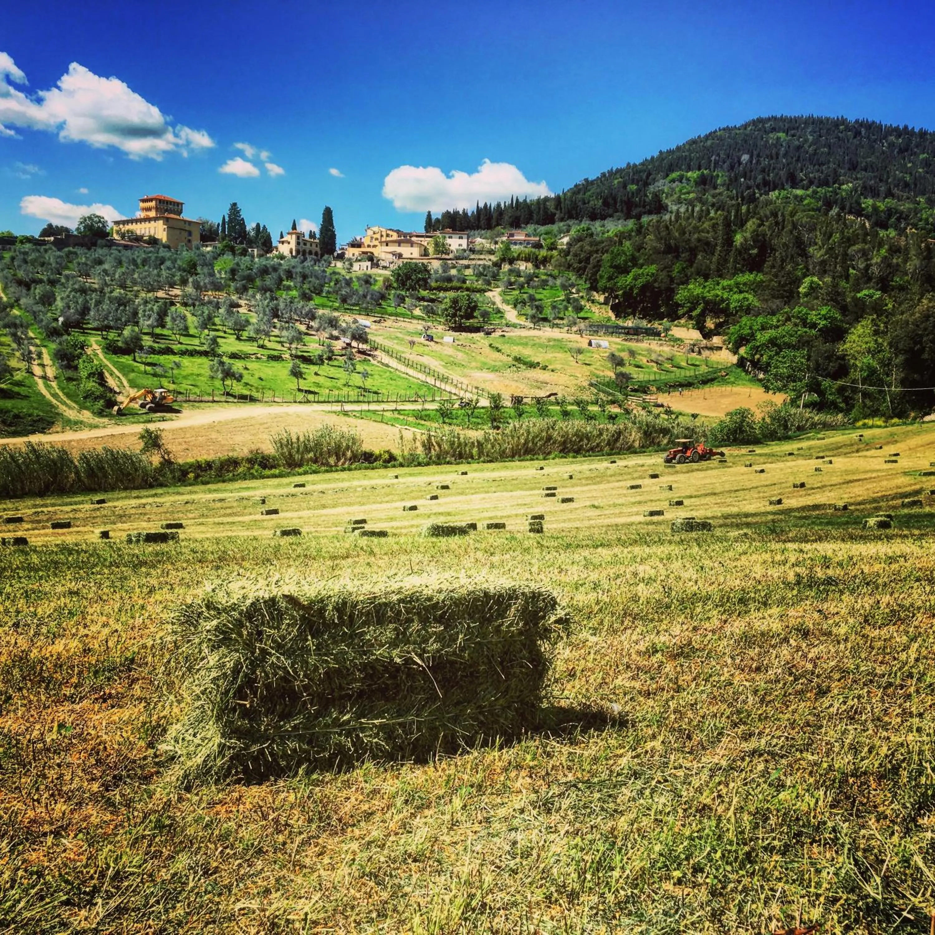 Other in Fattoria di Maiano
