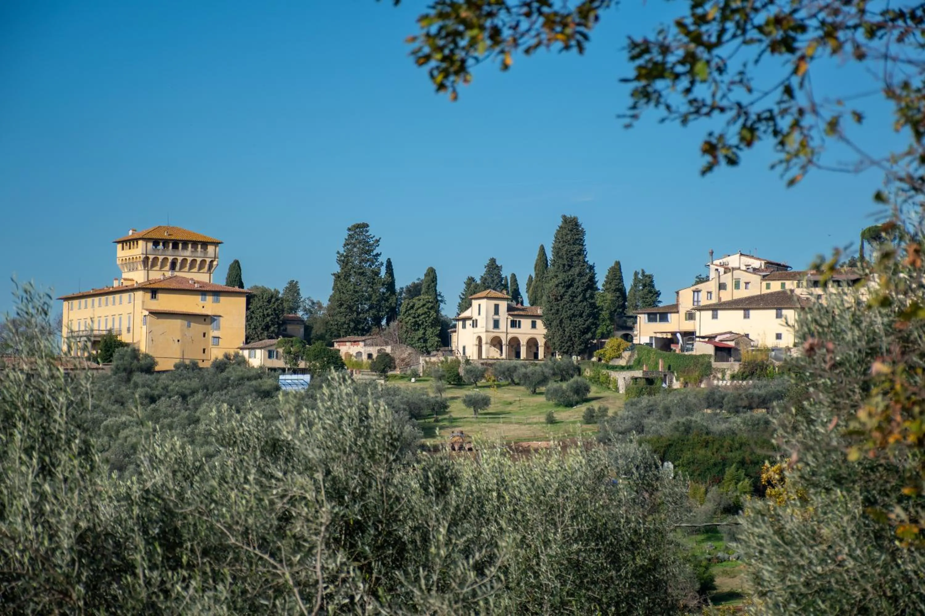 View (from property/room) in Fattoria di Maiano