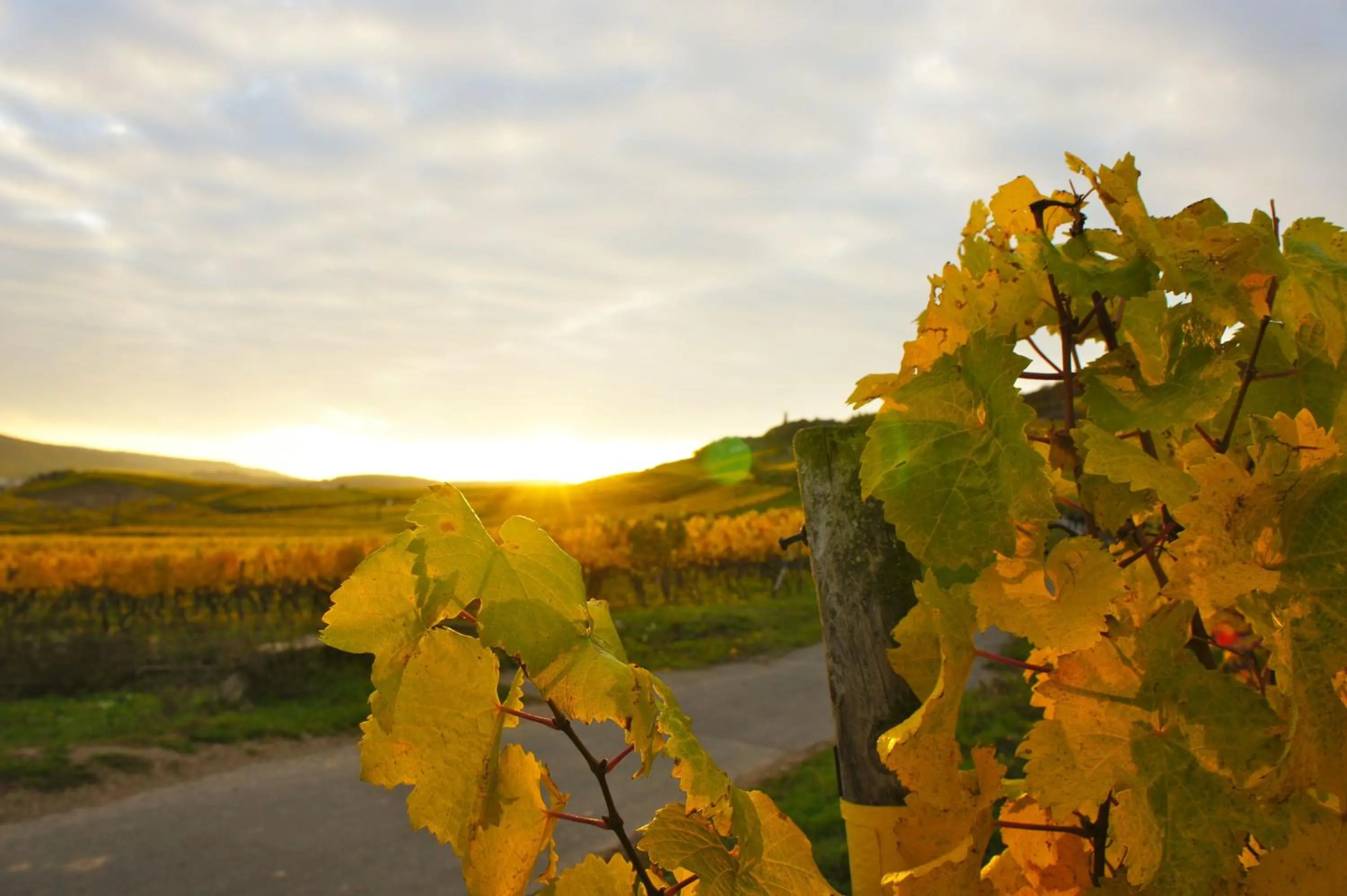 Neighbourhood in Hotel Im Schulhaus