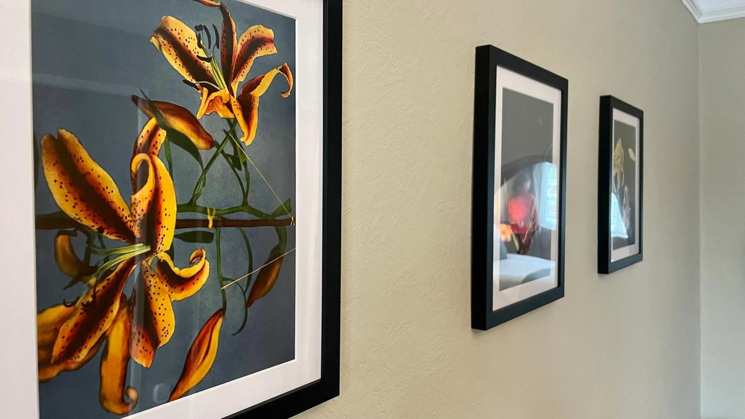 Decorative detail in Lacet House