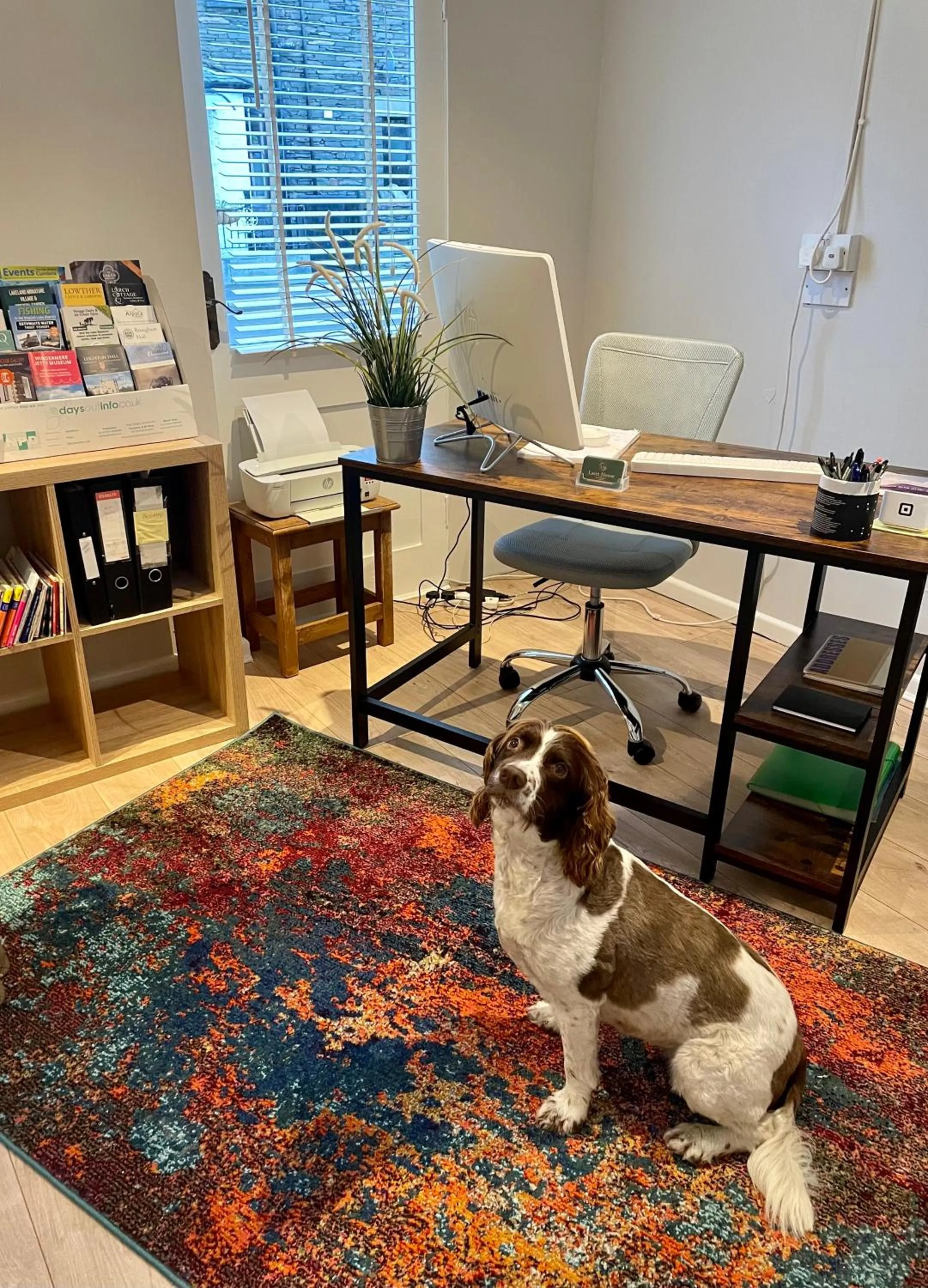 Other in Lacet House