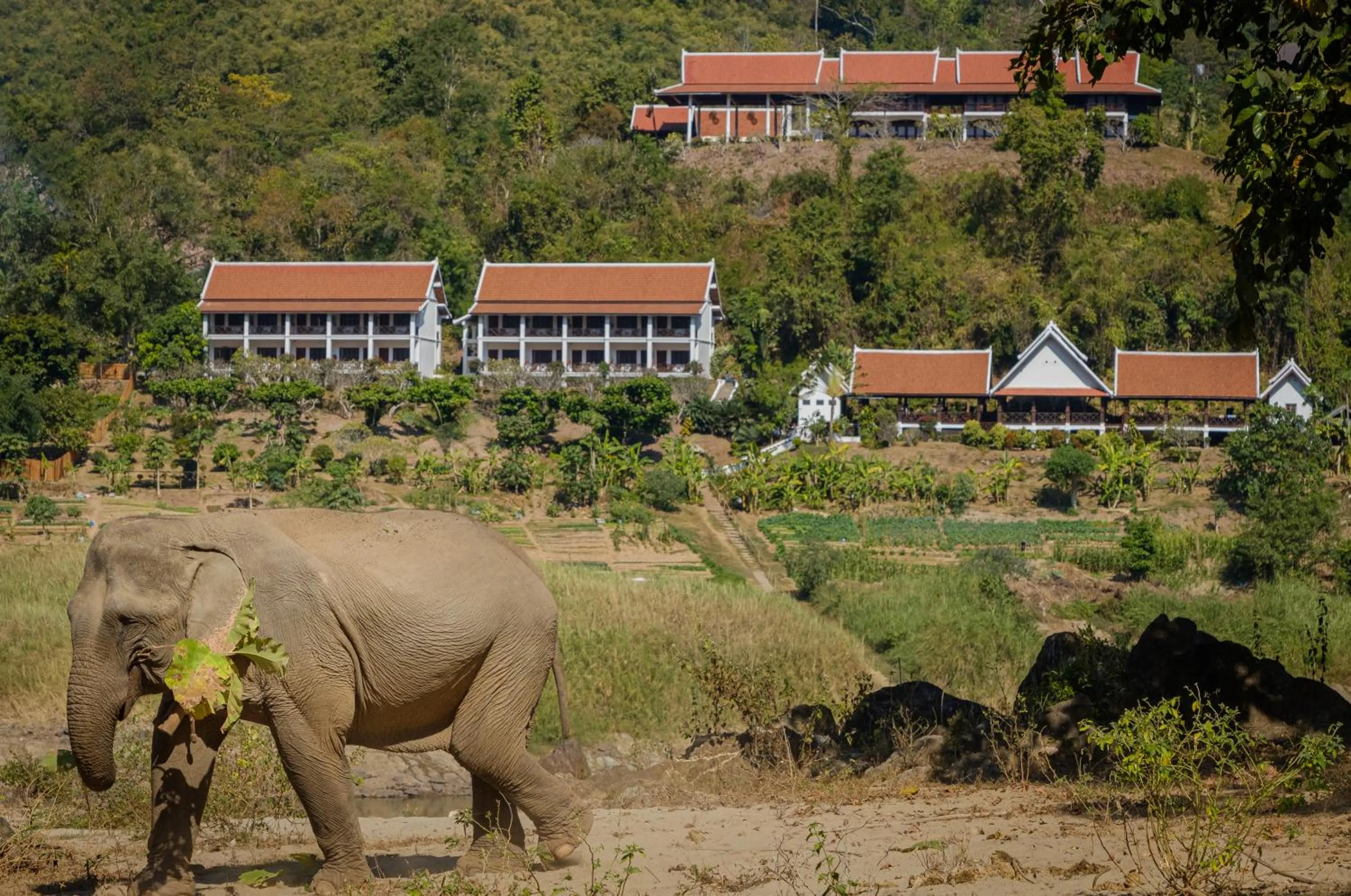 Double or Twin Room with Mountain View in The Sanctuary Pakbeng Lodge
