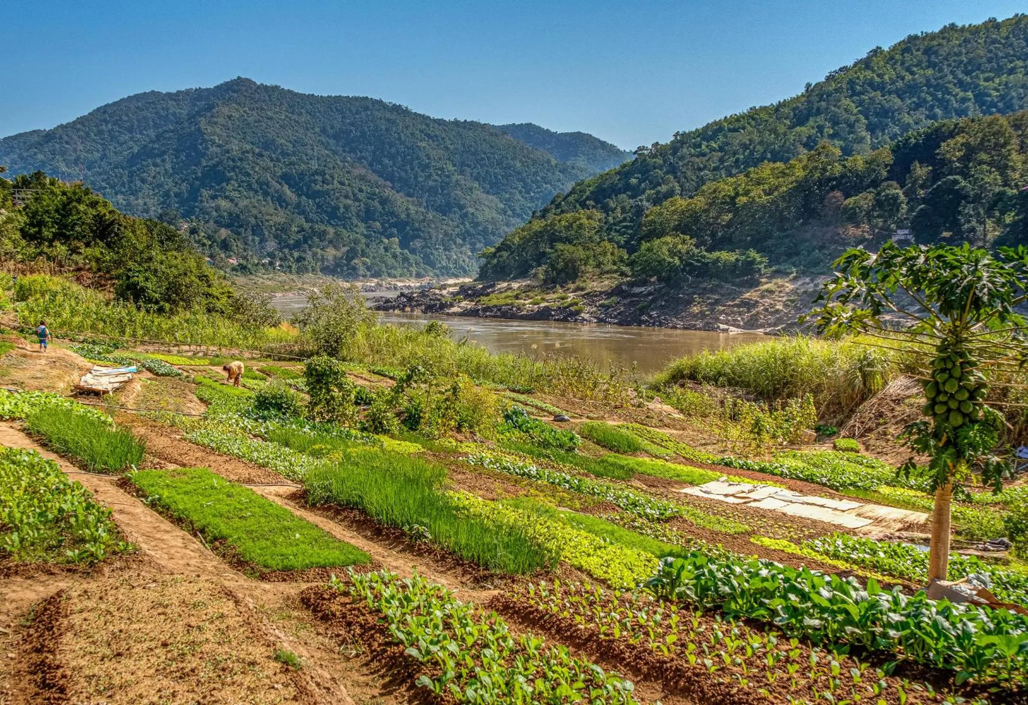 Garden in The Sanctuary Pakbeng Lodge