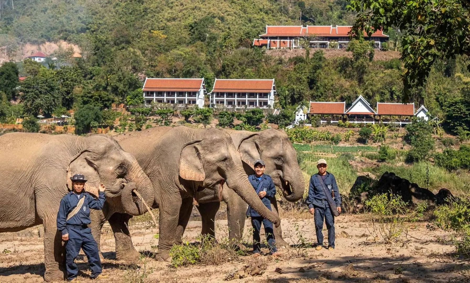 Animals in The Sanctuary Pakbeng Lodge