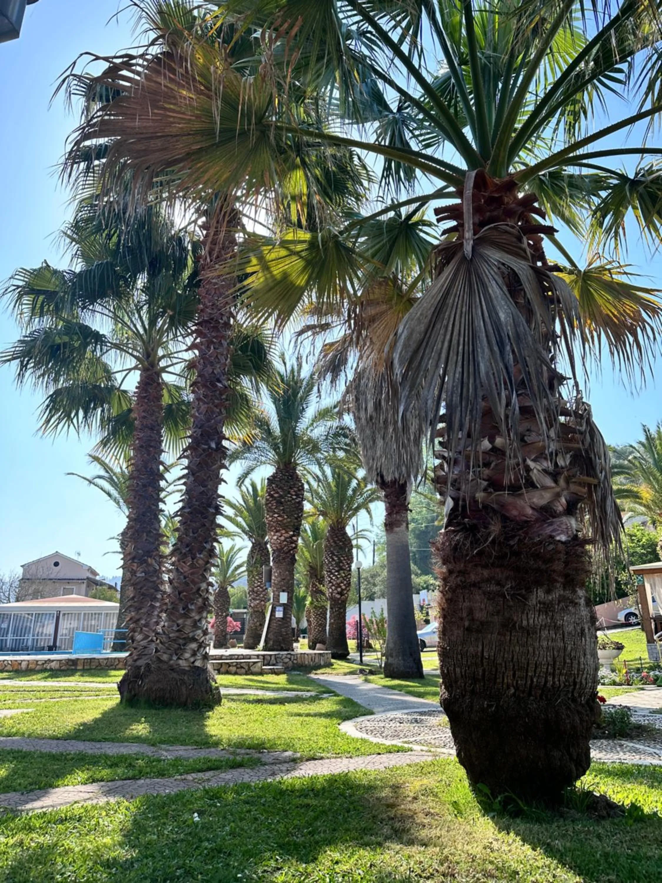 Garden view in ABC Sweet Home