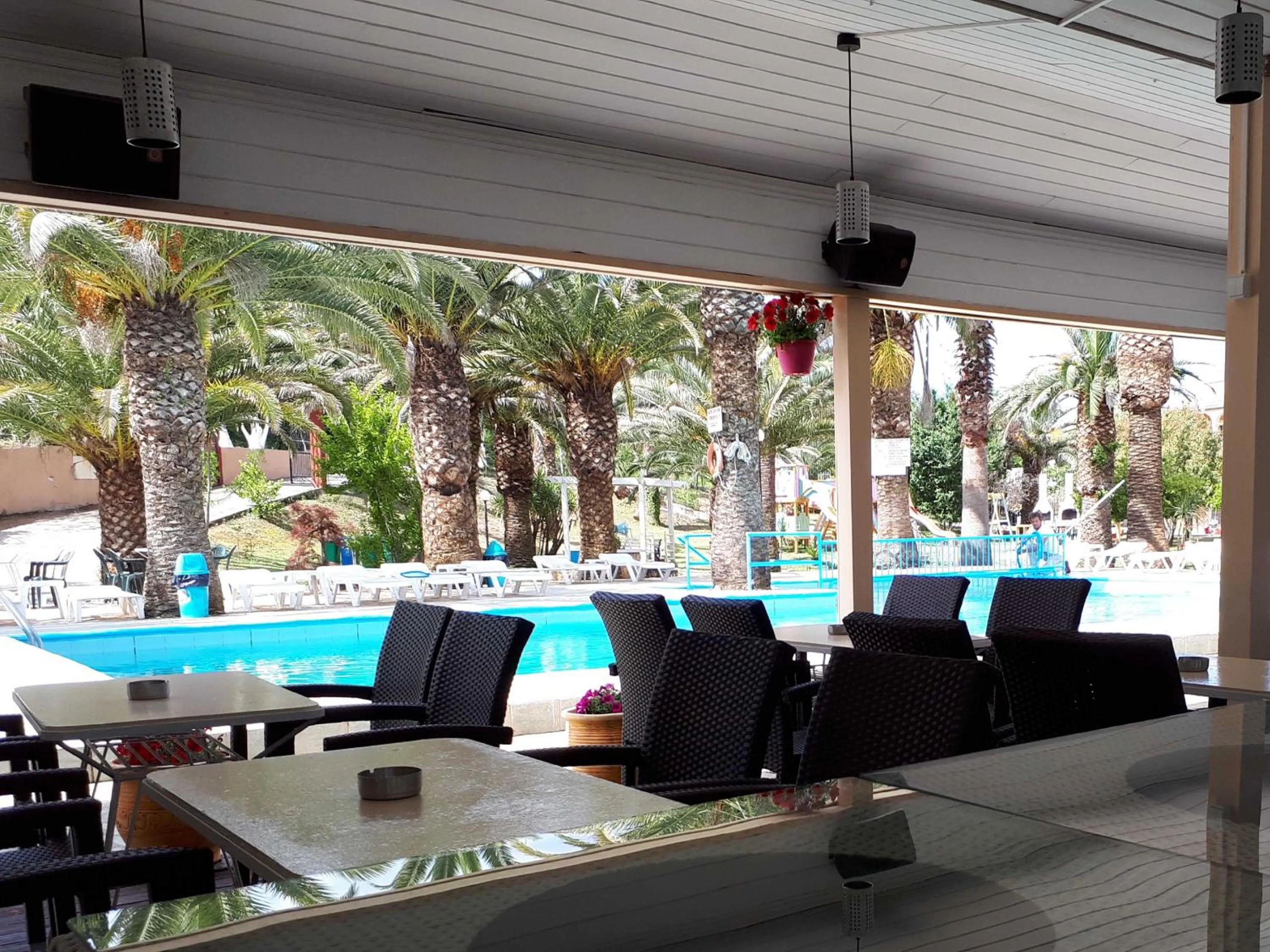 Lounge or bar in ABC Sweet Home