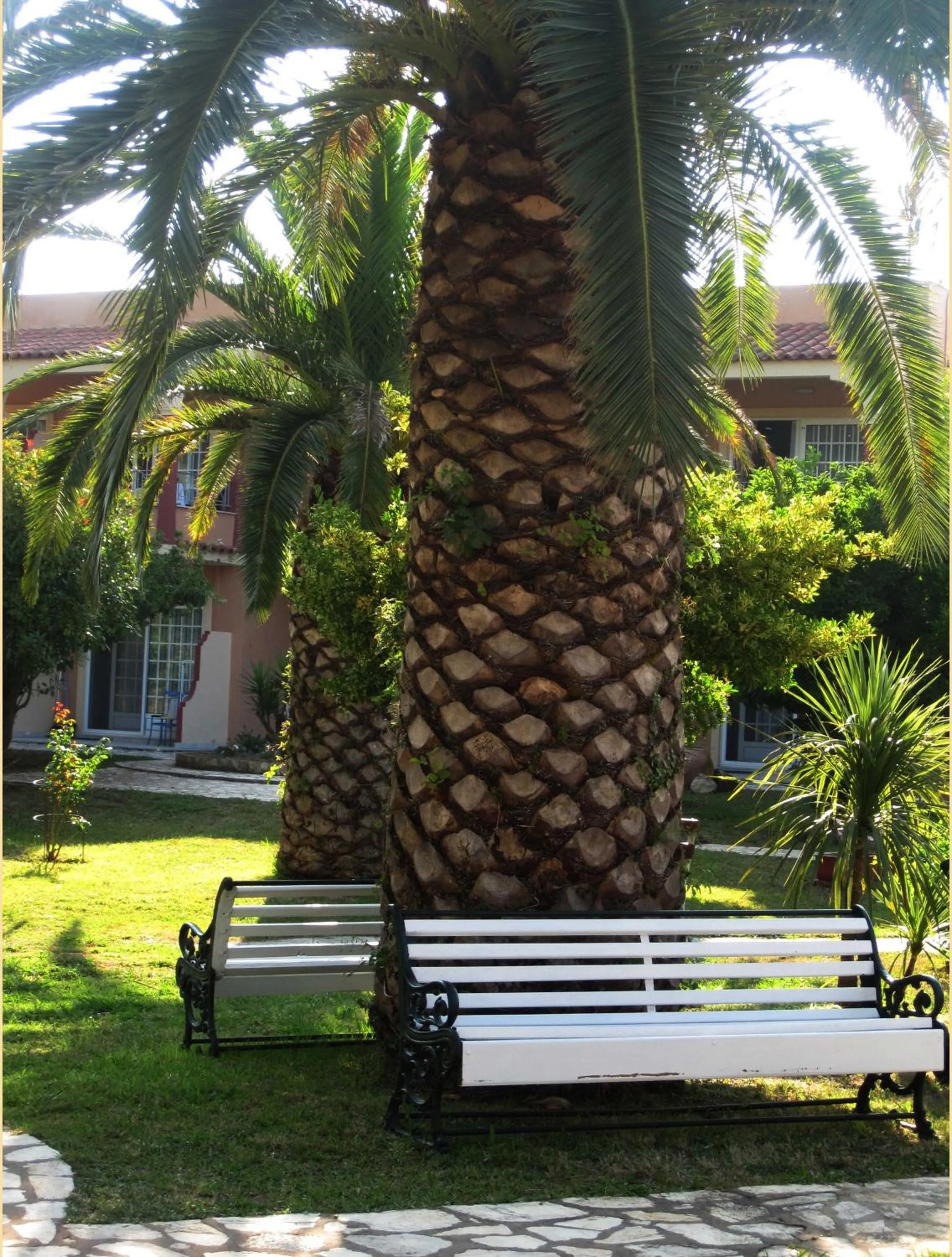 Garden in ABC Sweet Home