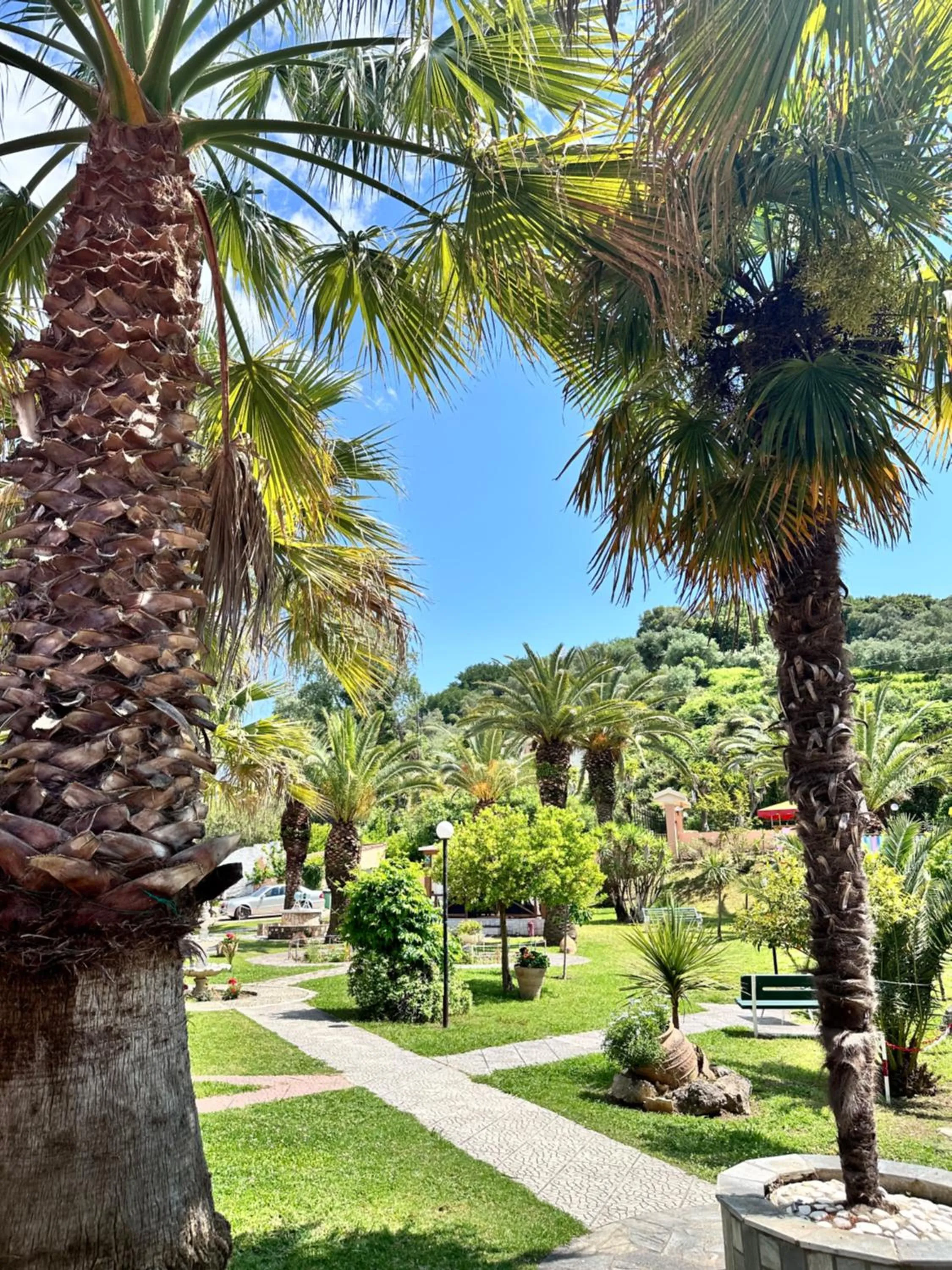 Garden in ABC Sweet Home