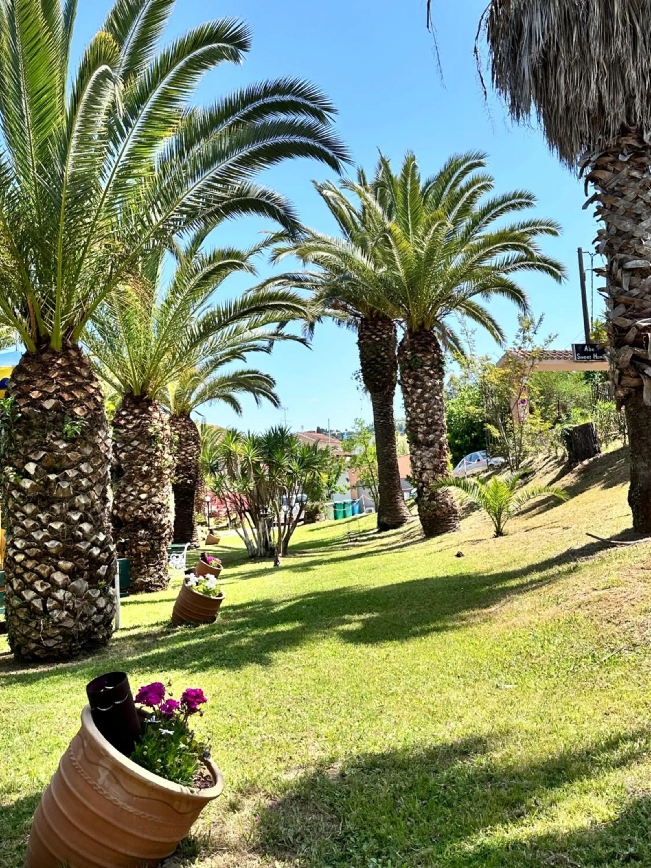 Garden in ABC Sweet Home