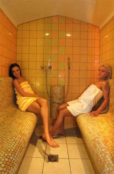Sauna in Hotel Kristall B&B
