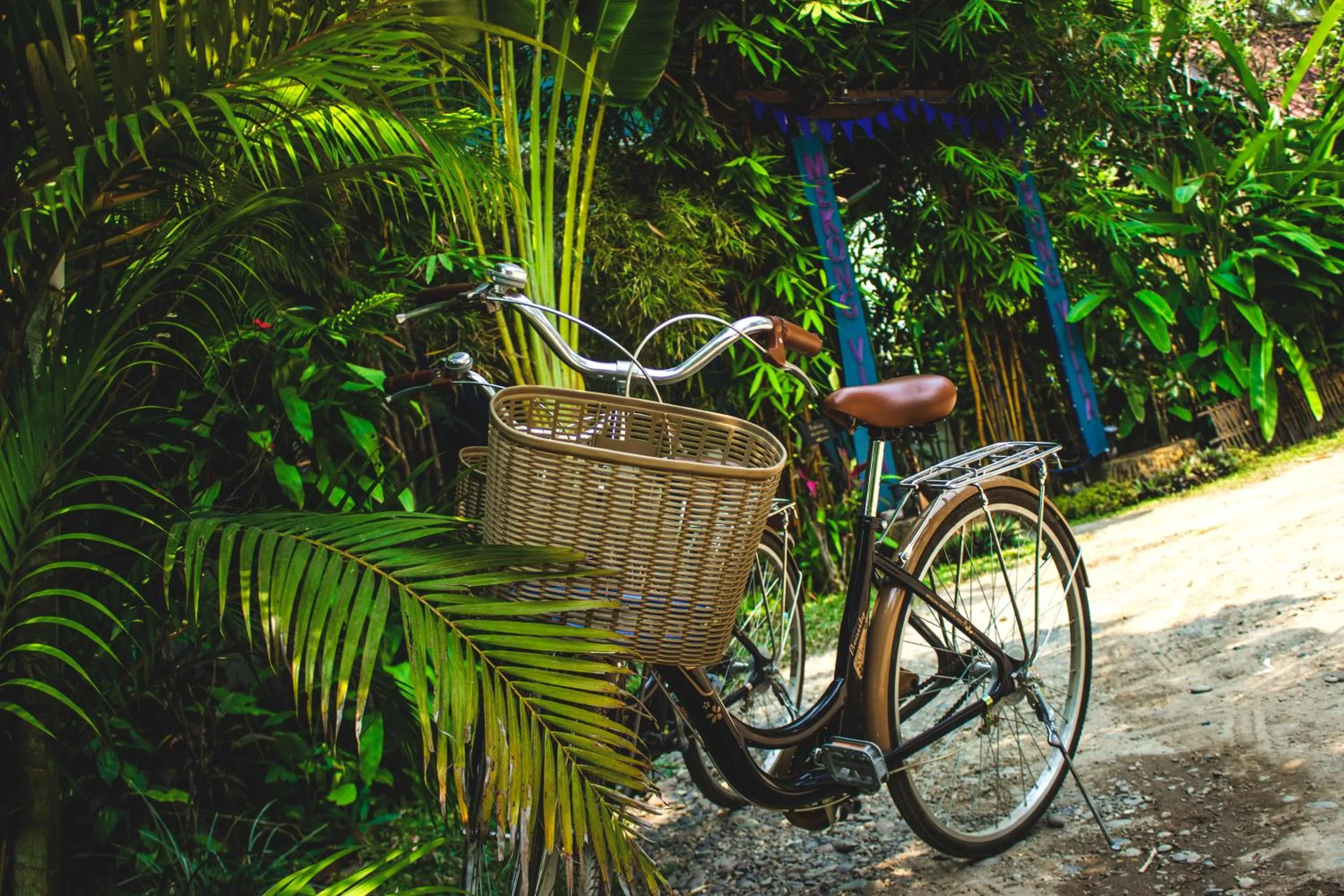 Activities in Ock Pop Tok Mekong Villa
