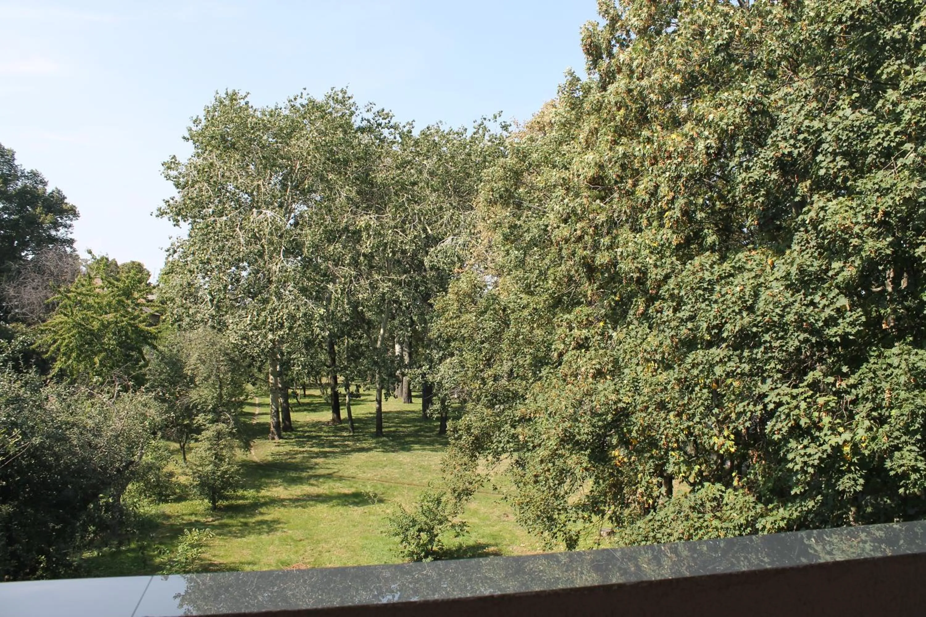 Garden view in Non-stop hotel