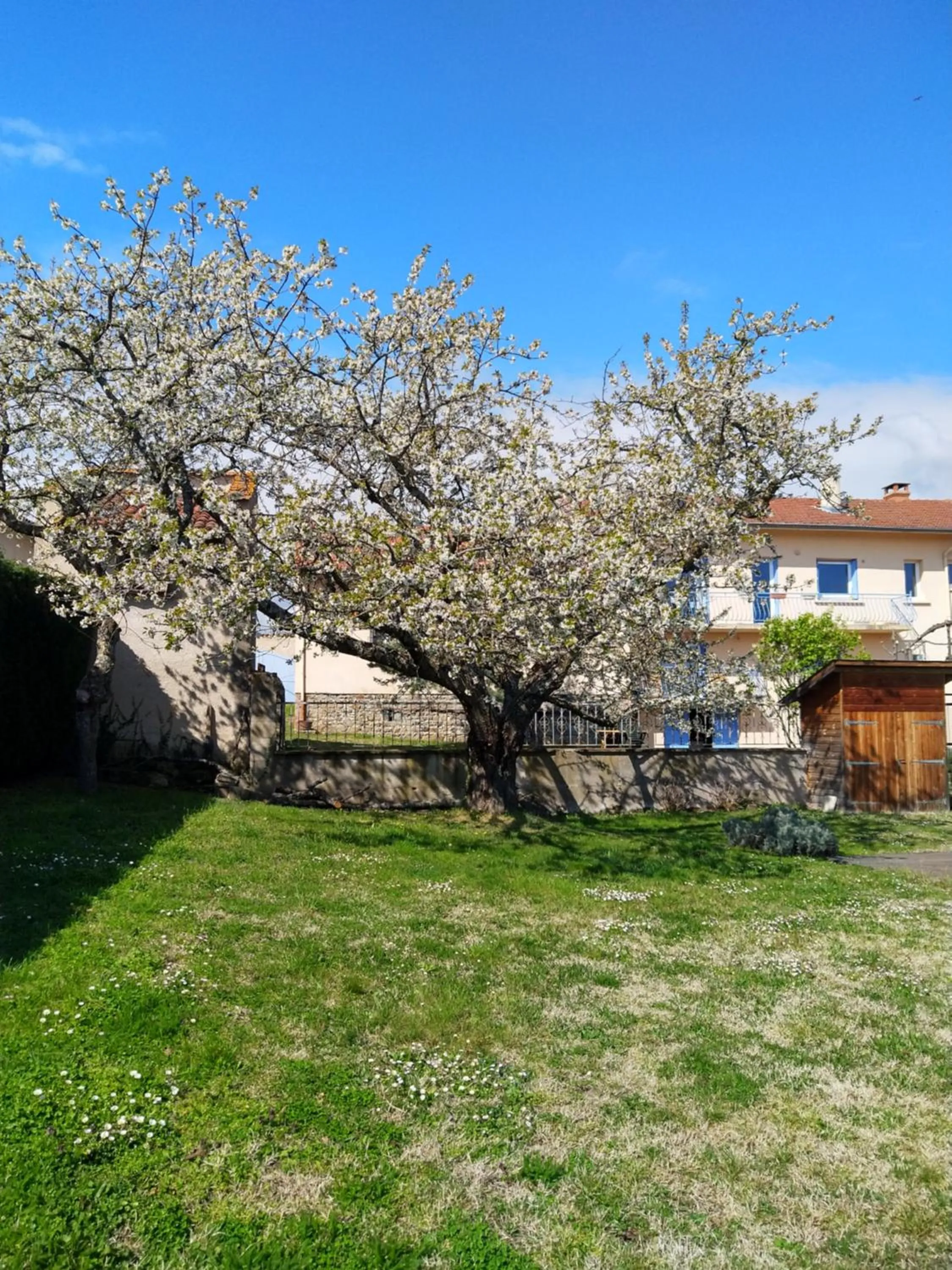 Garden in Les Bessonnes