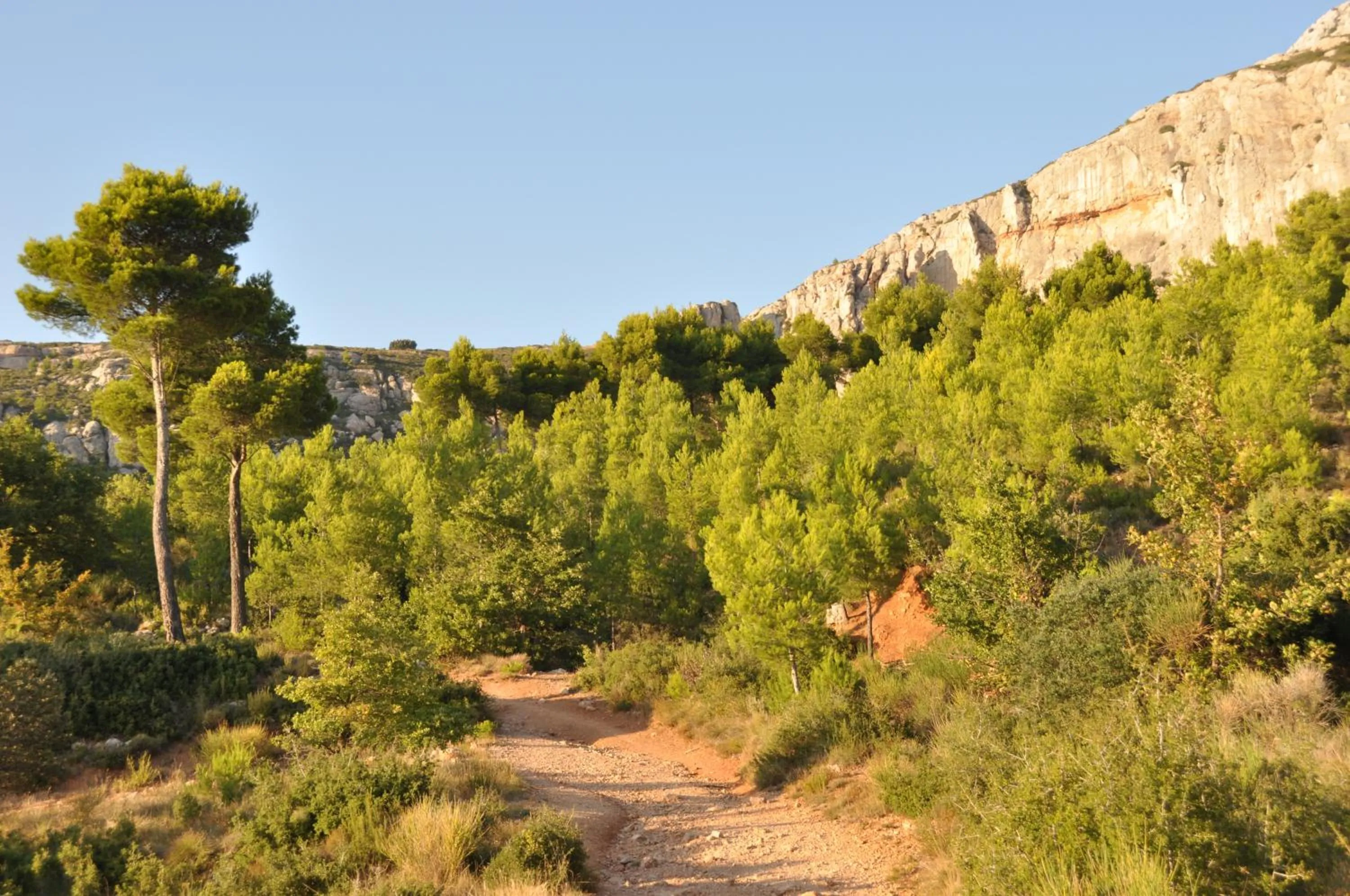 Area and facilities in La Ferme