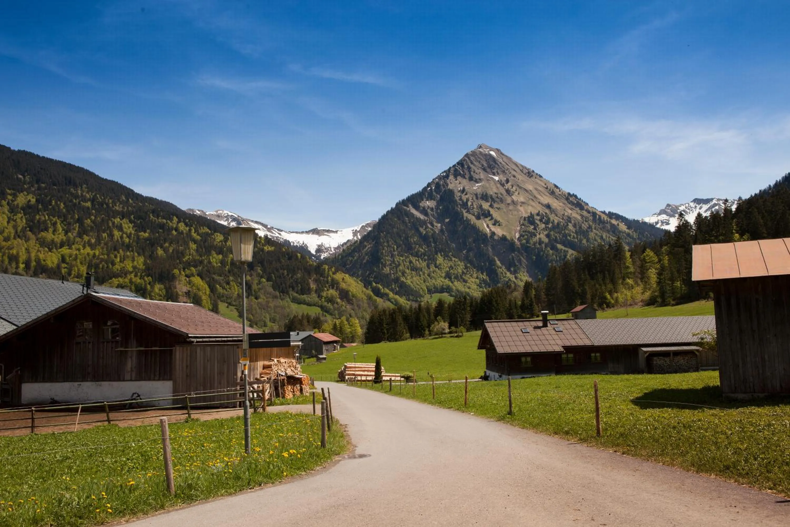 Mountain view in Ferienbauernhof Kohler