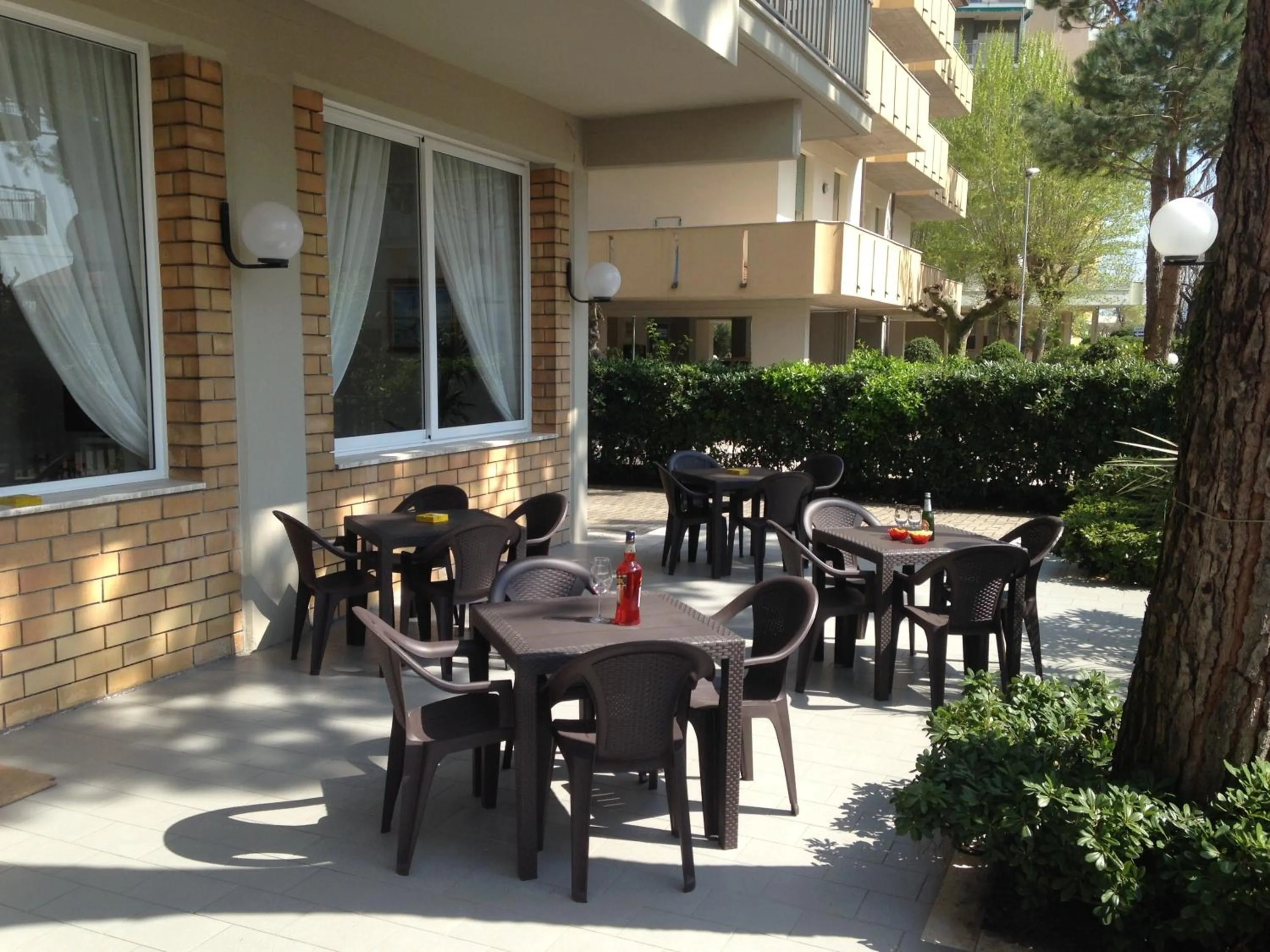 Garden in Hotel Primula