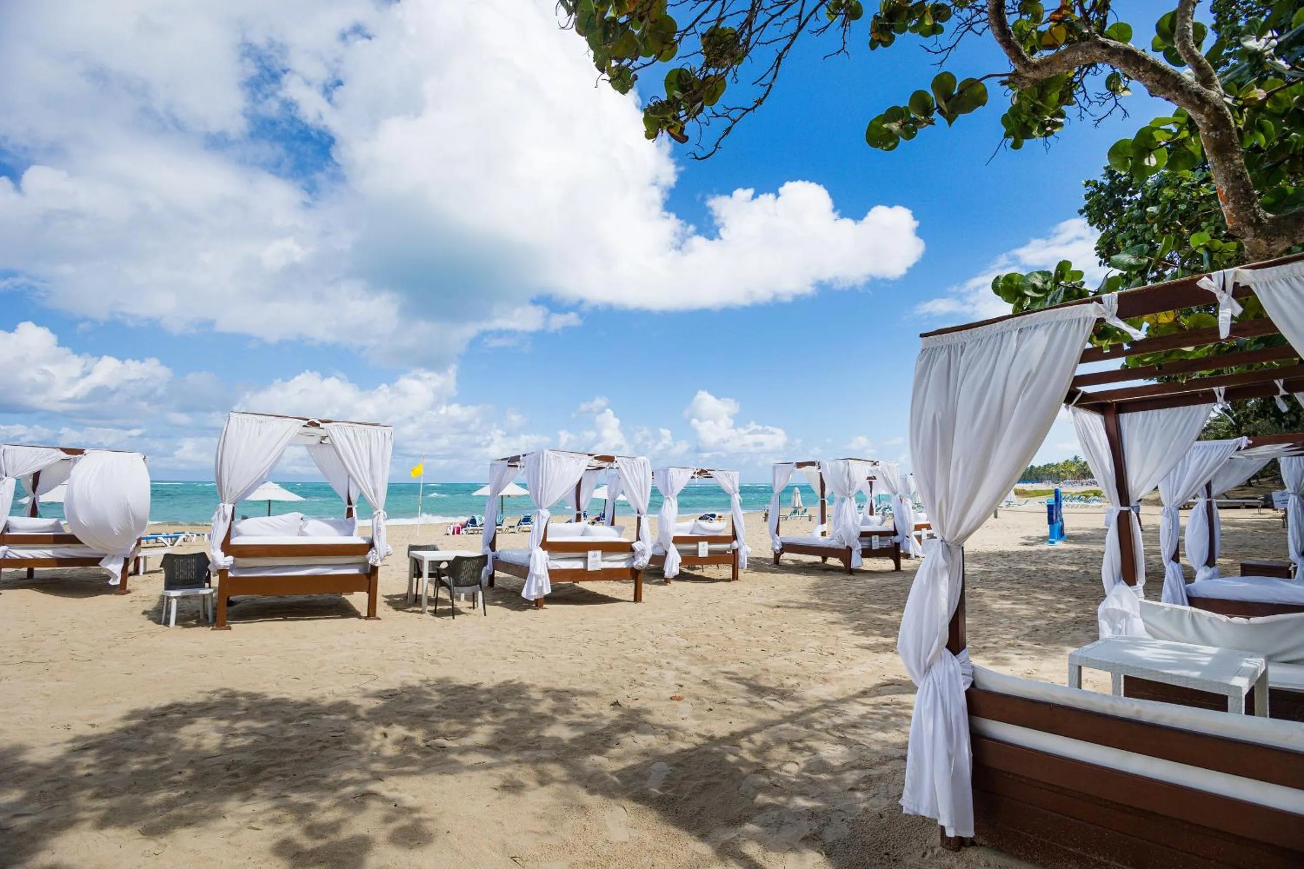 Beach in Blue JackTar