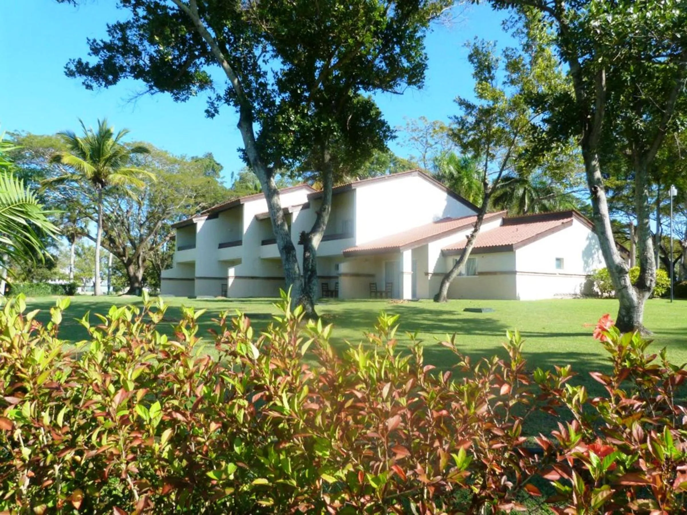 Garden in Blue JackTar