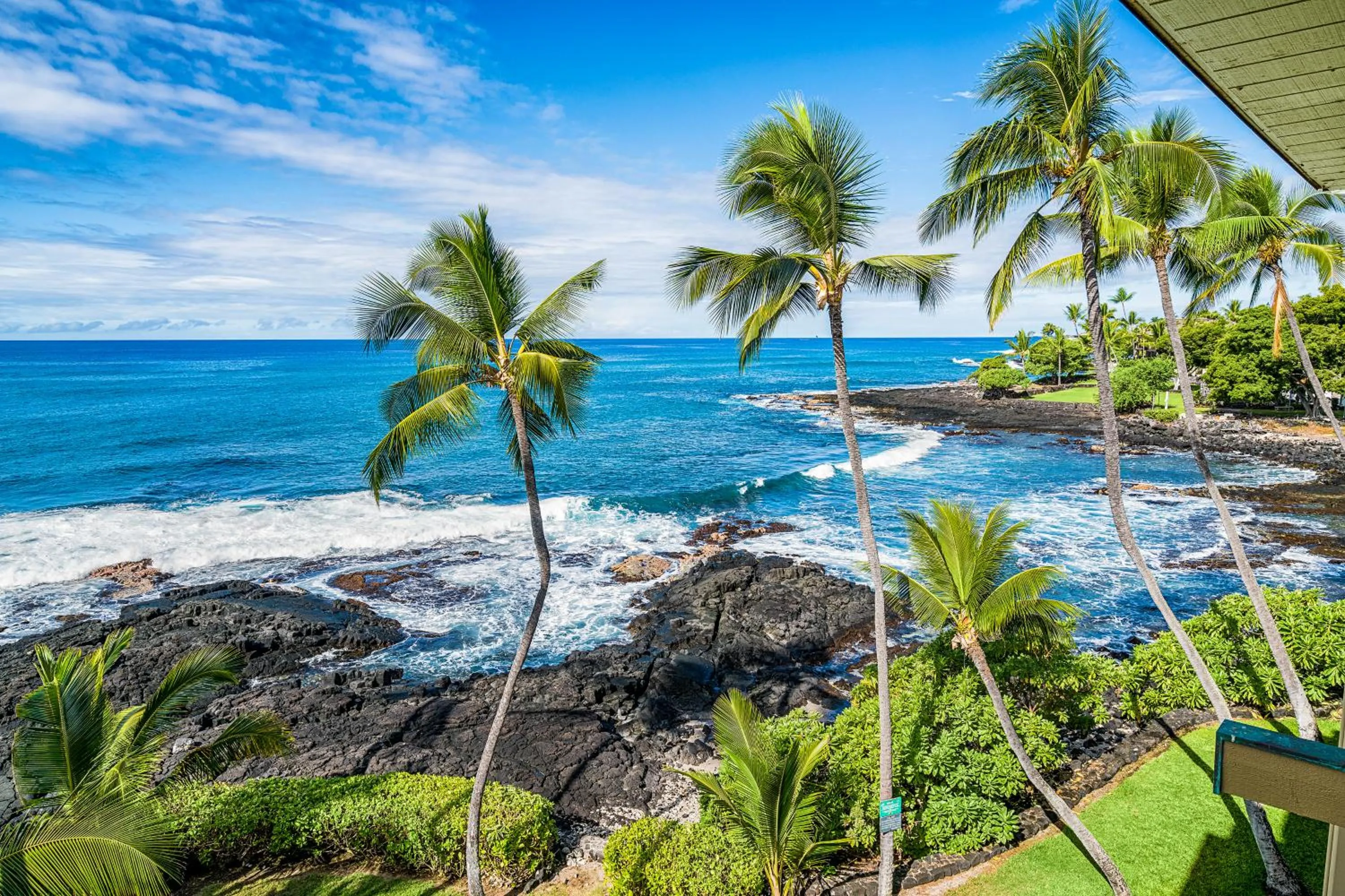 Natural landscape in Oceanfront Luxury Condo