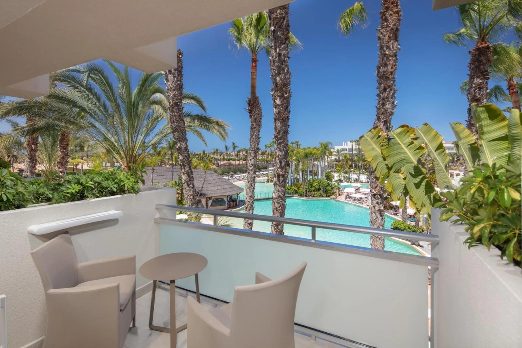 Photo of the whole room in Tabaiba Princess