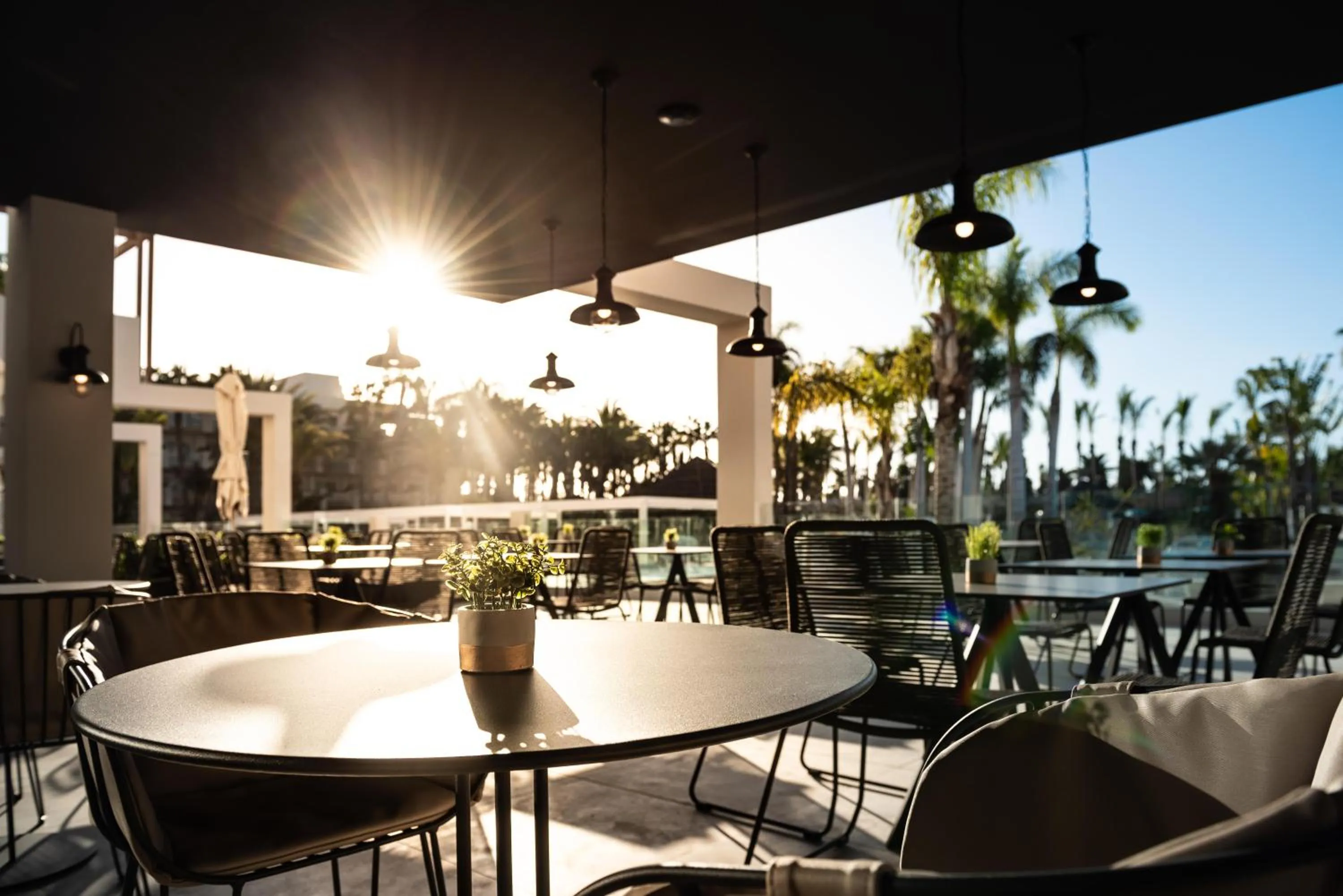 Restaurant/places to eat in Tabaiba Princess